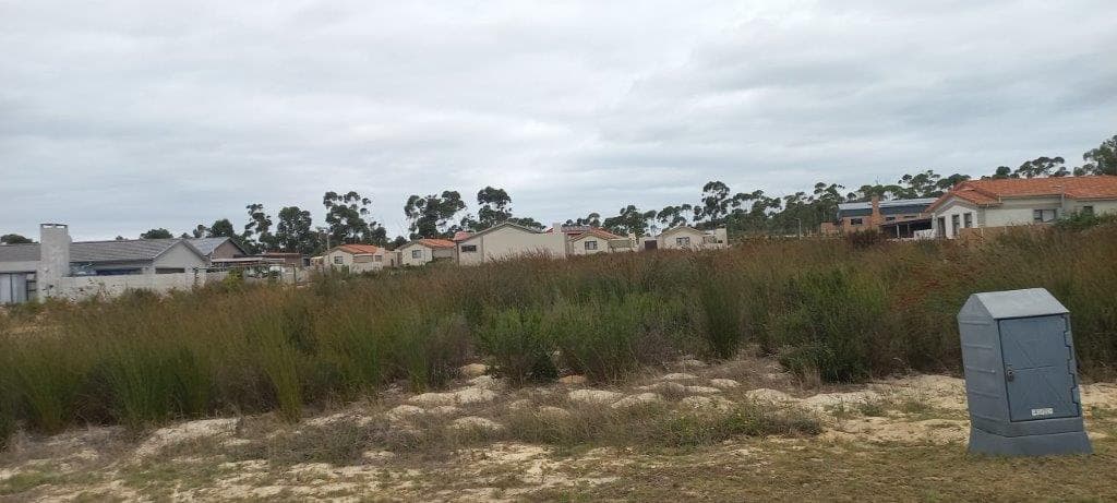 Image 14