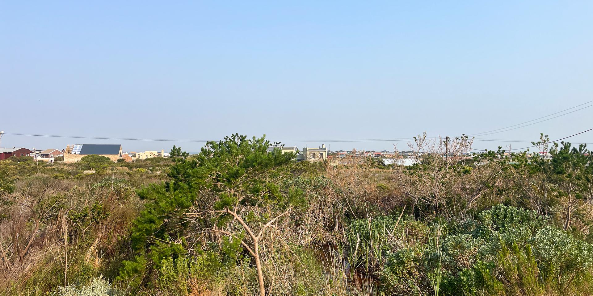 Image 5 of 6