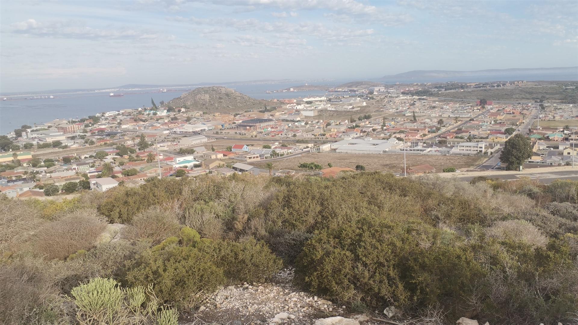 Image 6