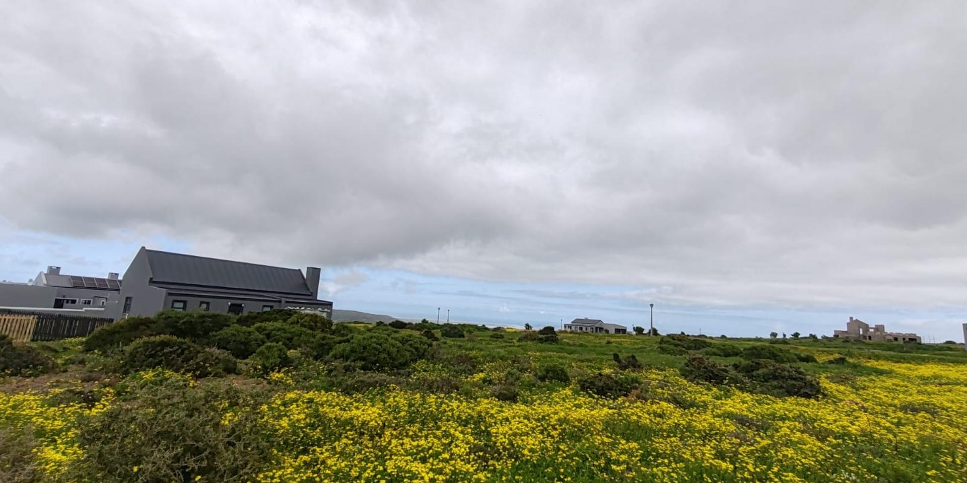 Image 4 of 6