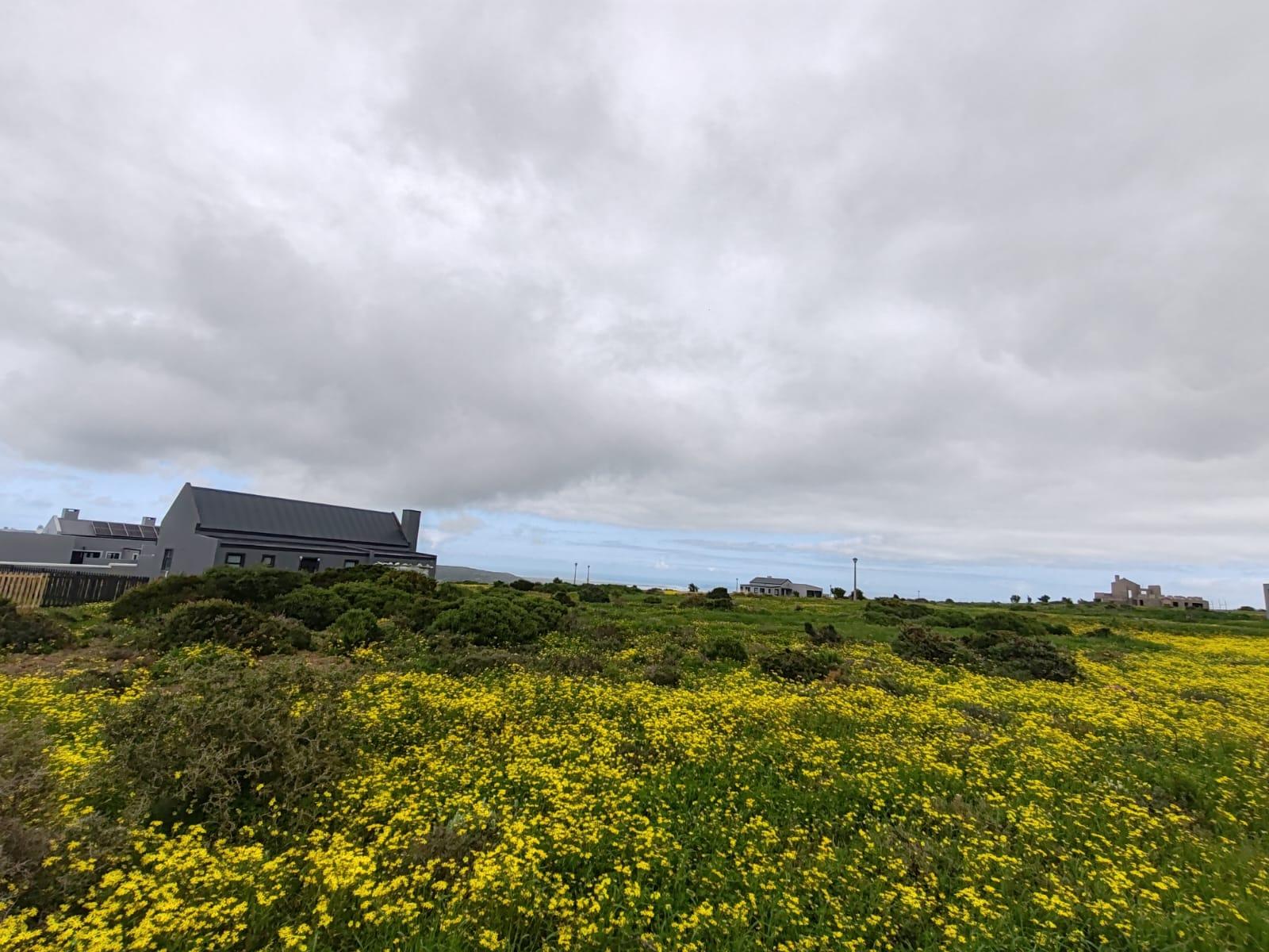 Image 4 of 6