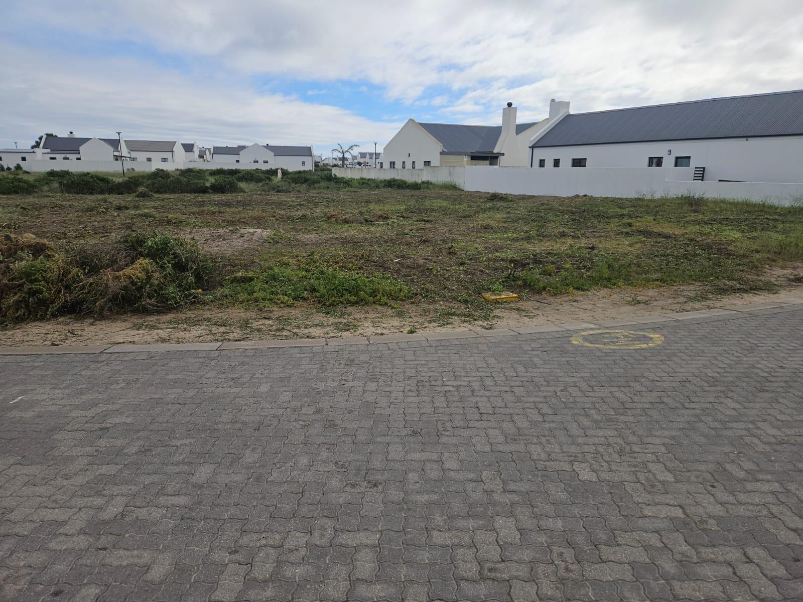 Image 9