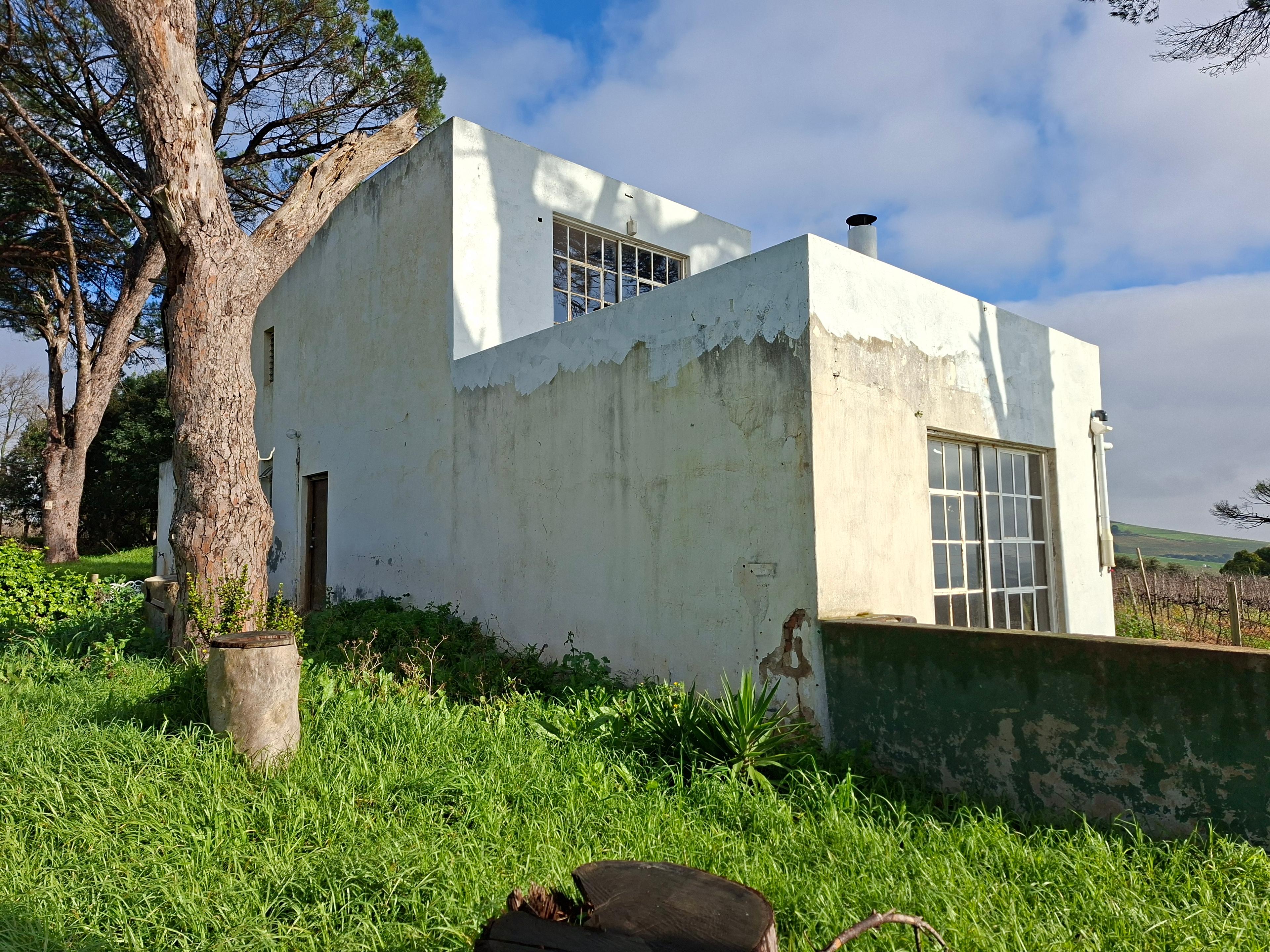 Image 14