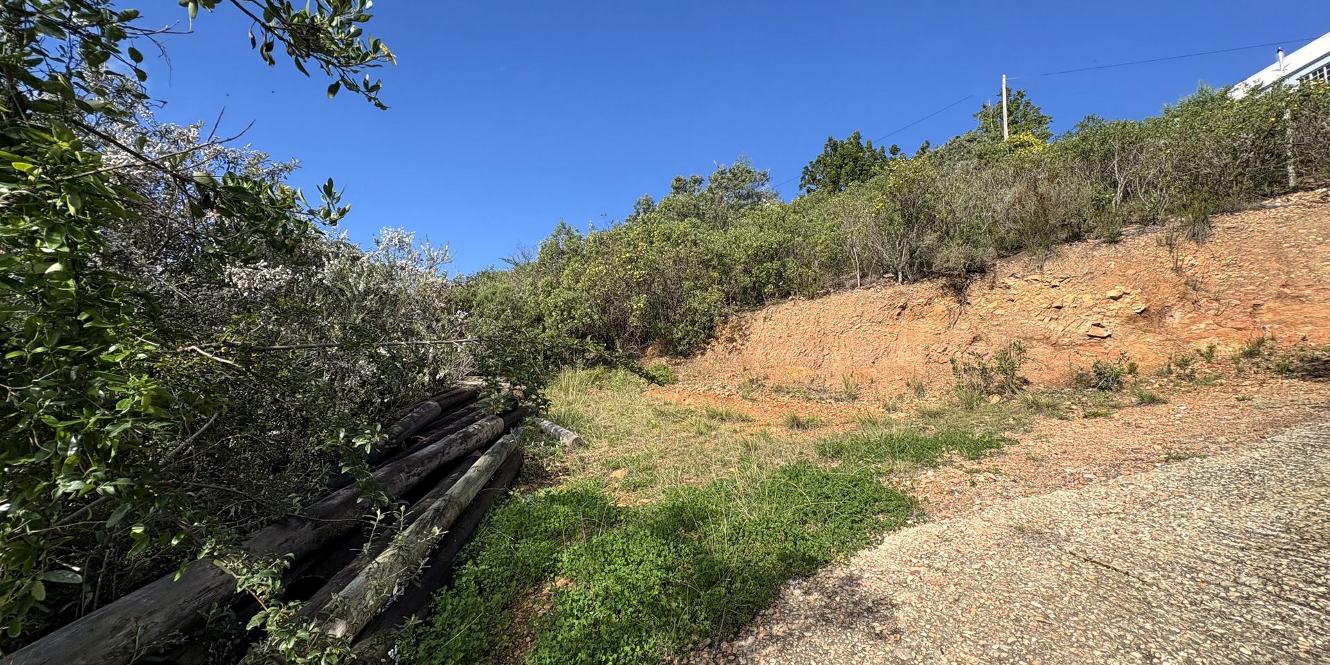 Image 4 of 6