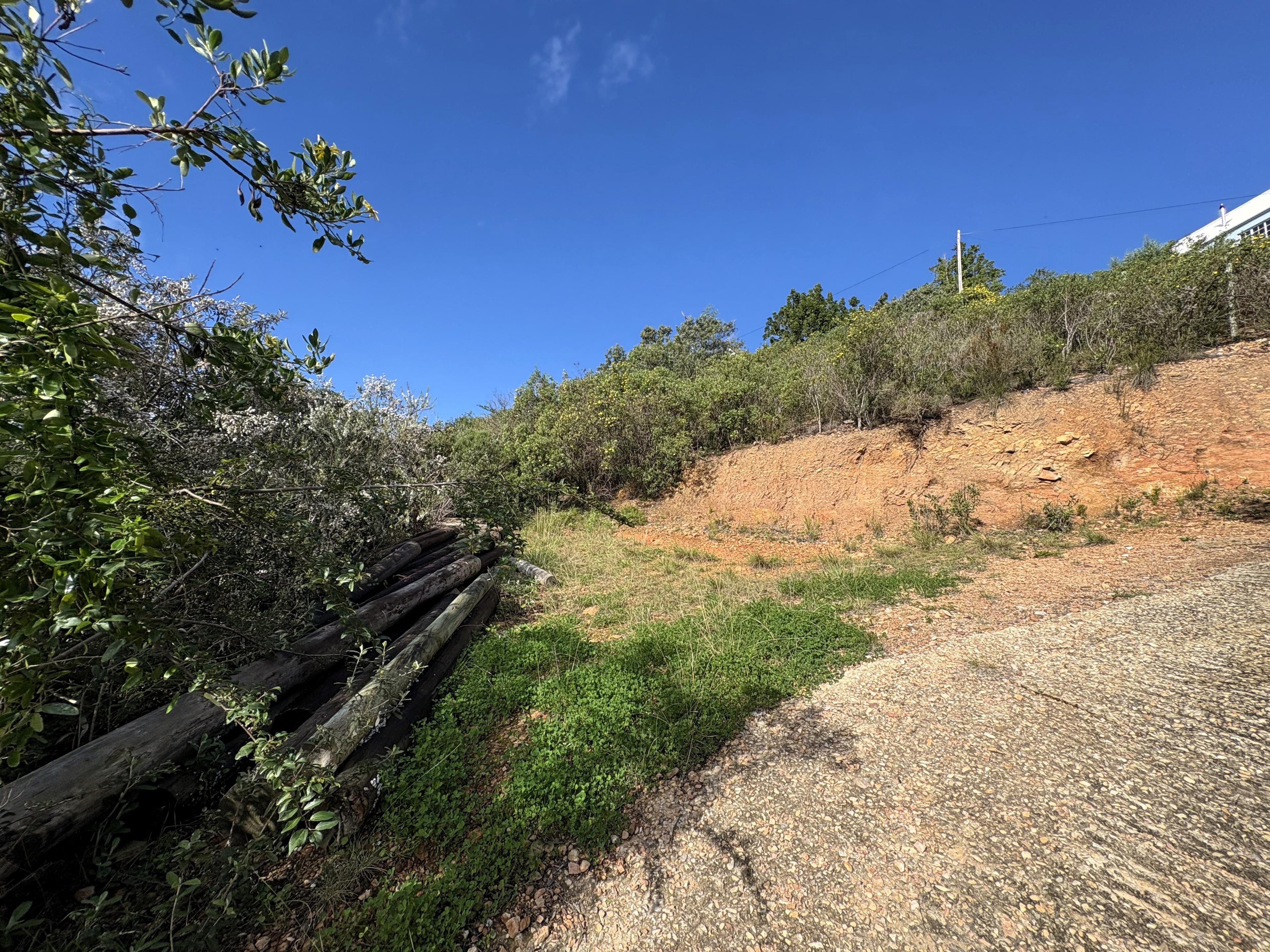 Image 4 of 6