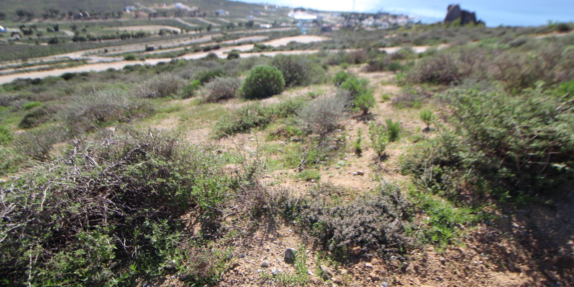 Image 3 of 6
