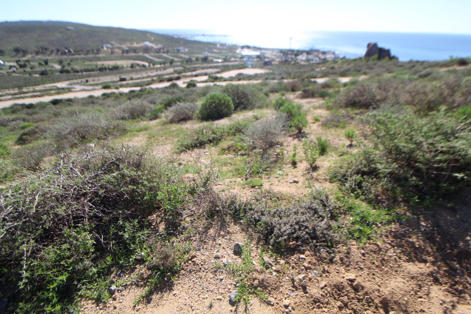 Image 3 of 6