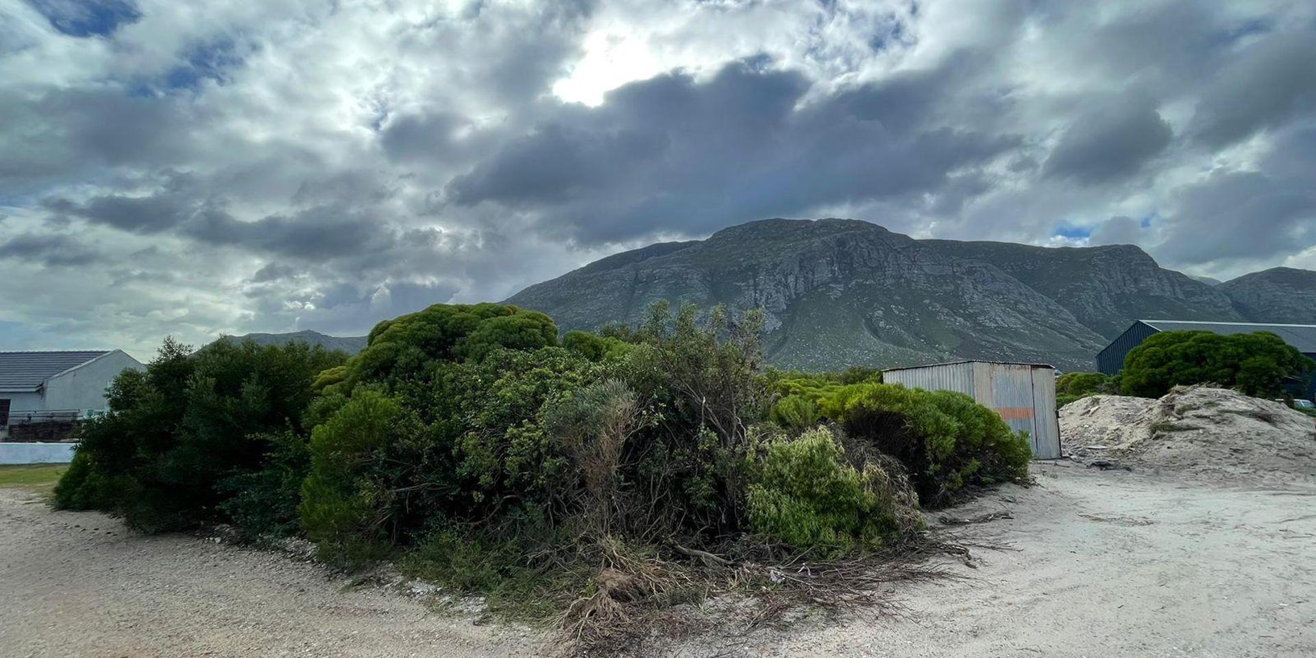 Image 5 of 6