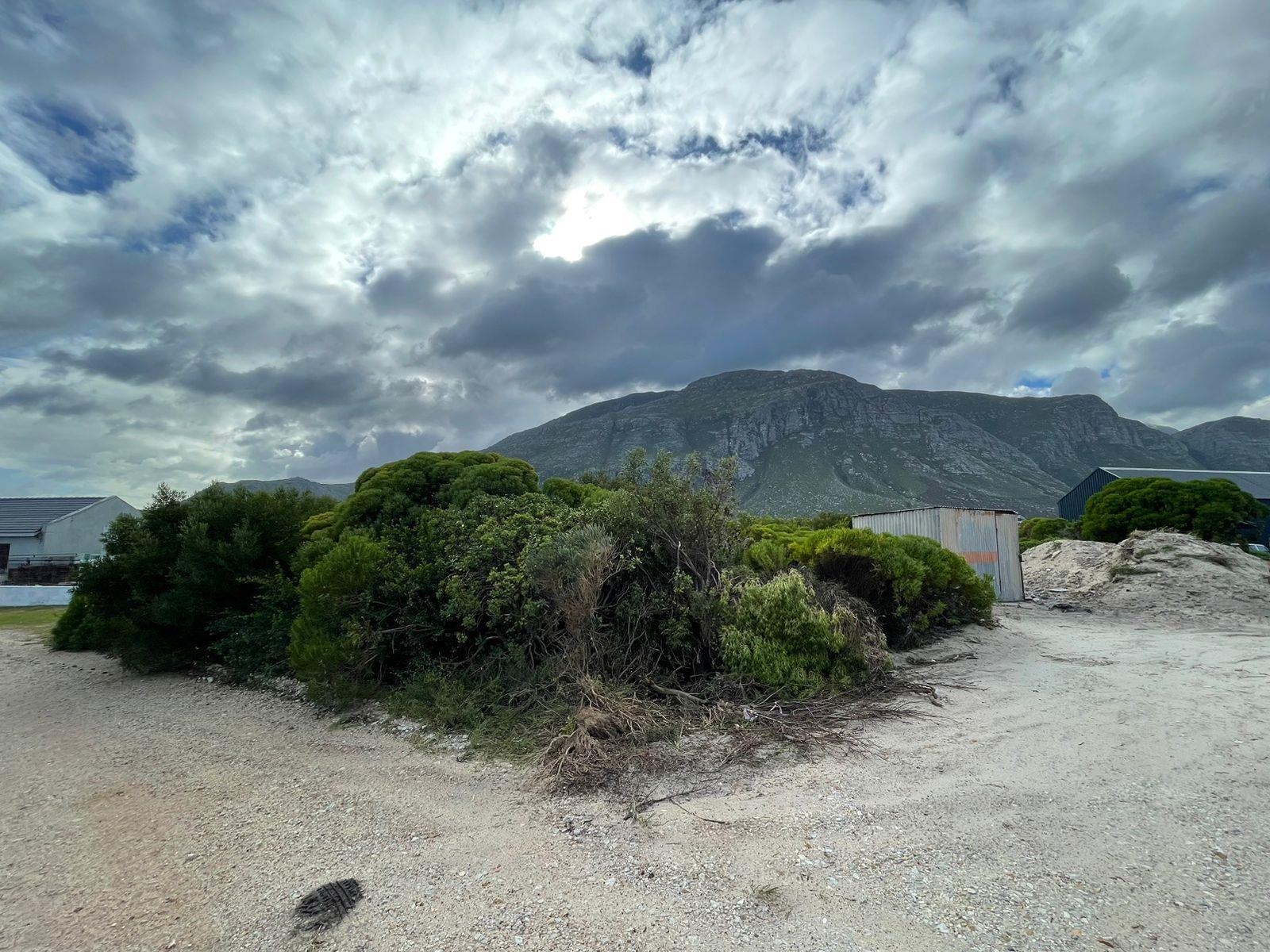 Image 5 of 6