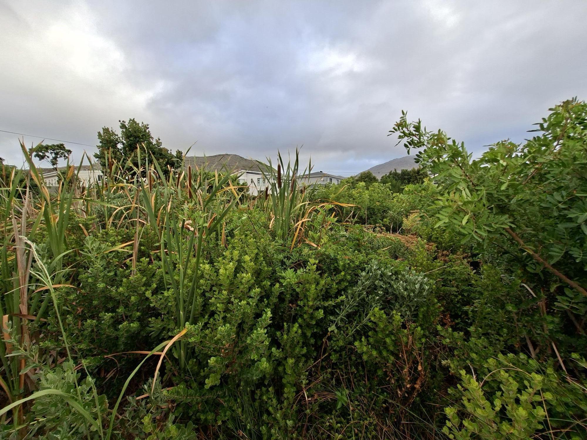 Image 25