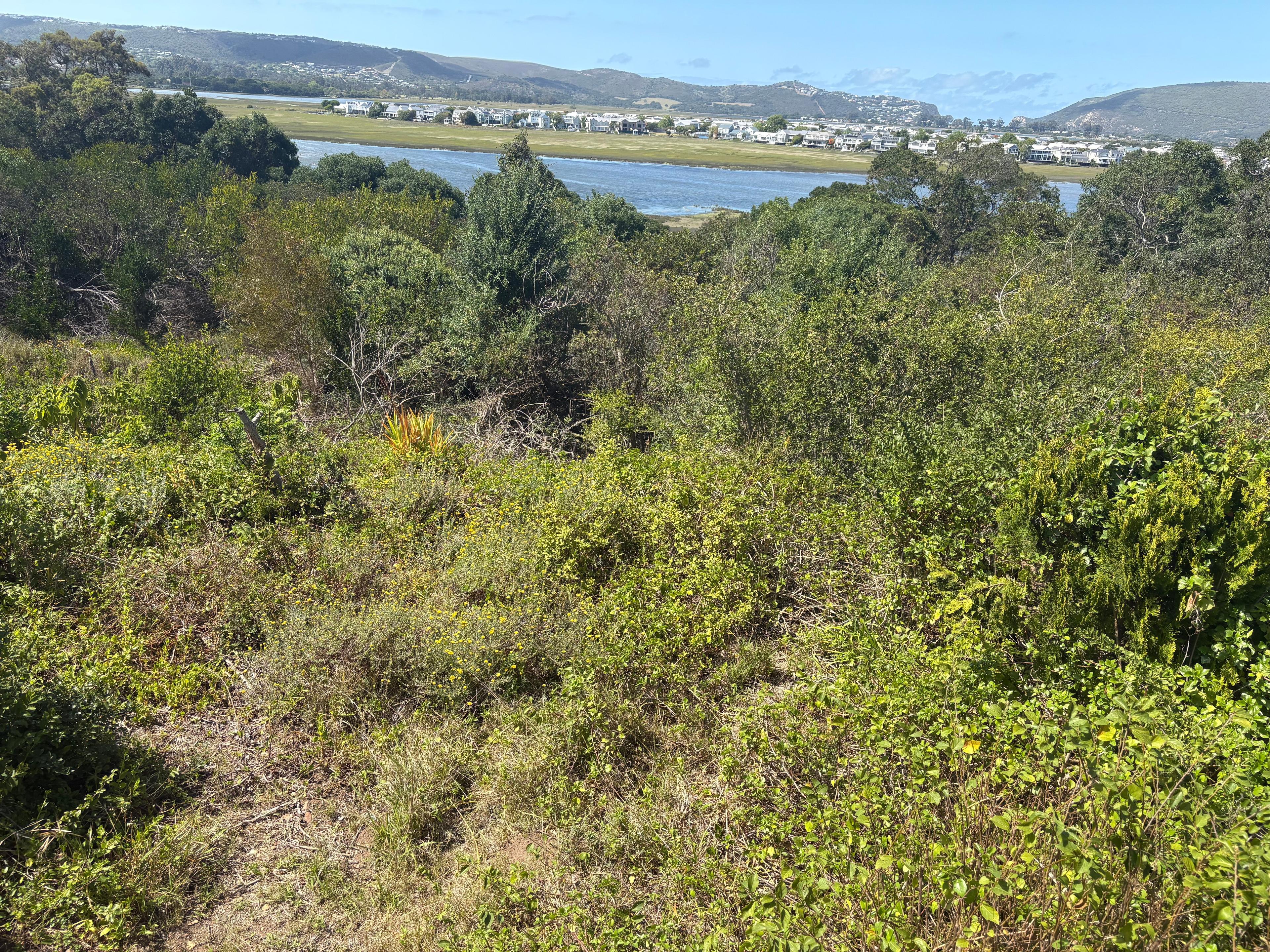 Image 4 of 6