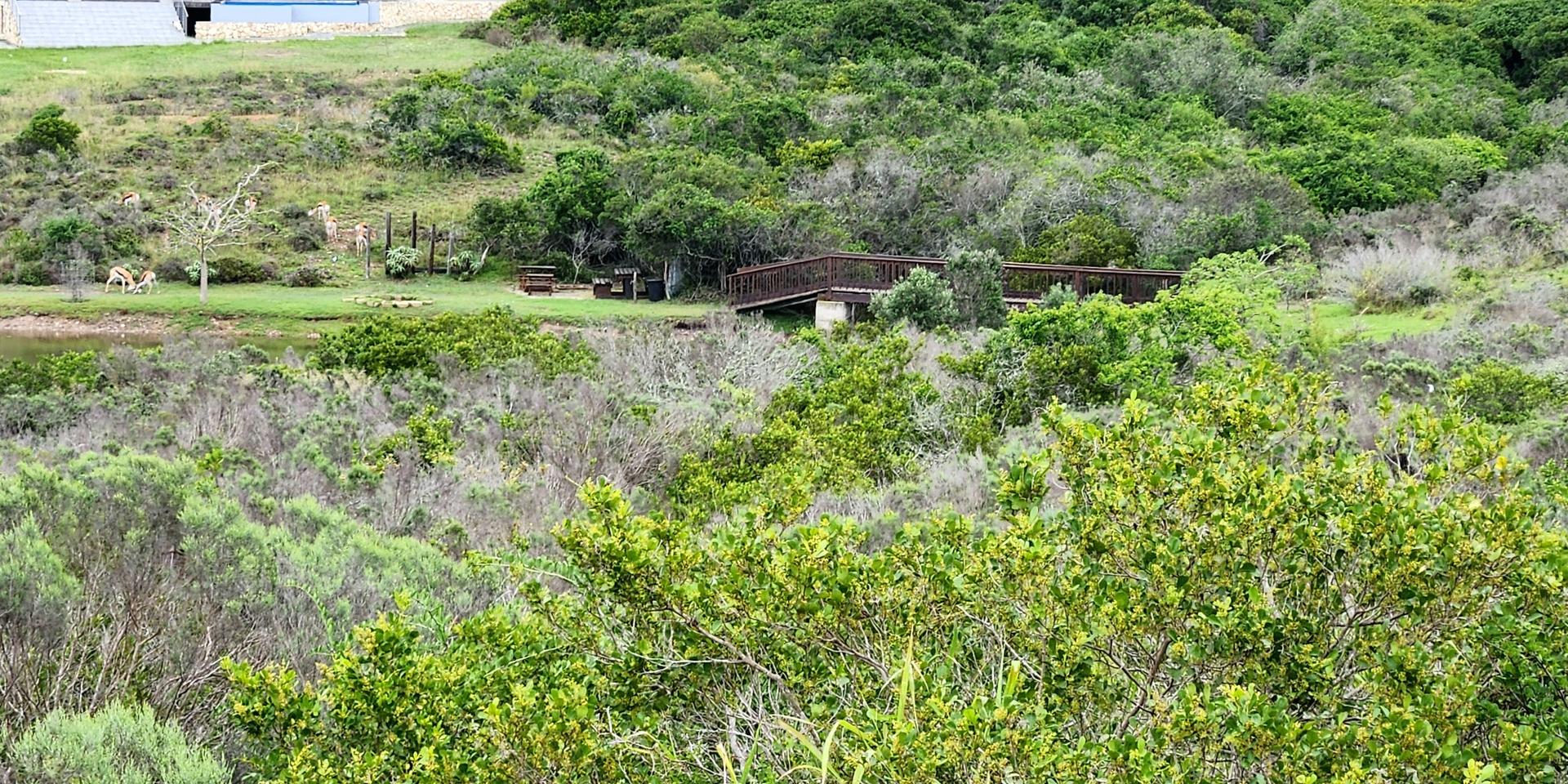 Image 4 of 6