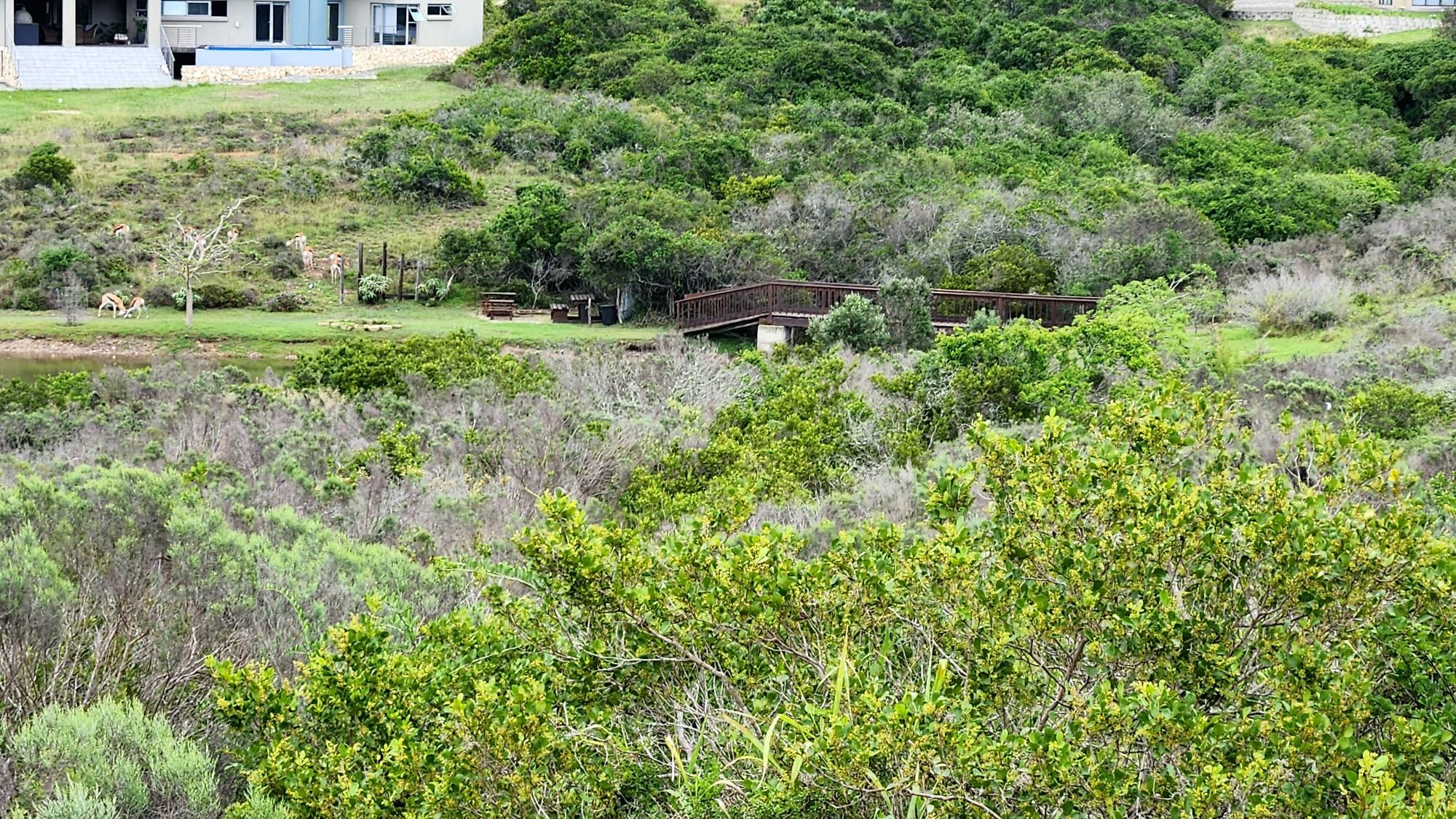Image 4 of 6