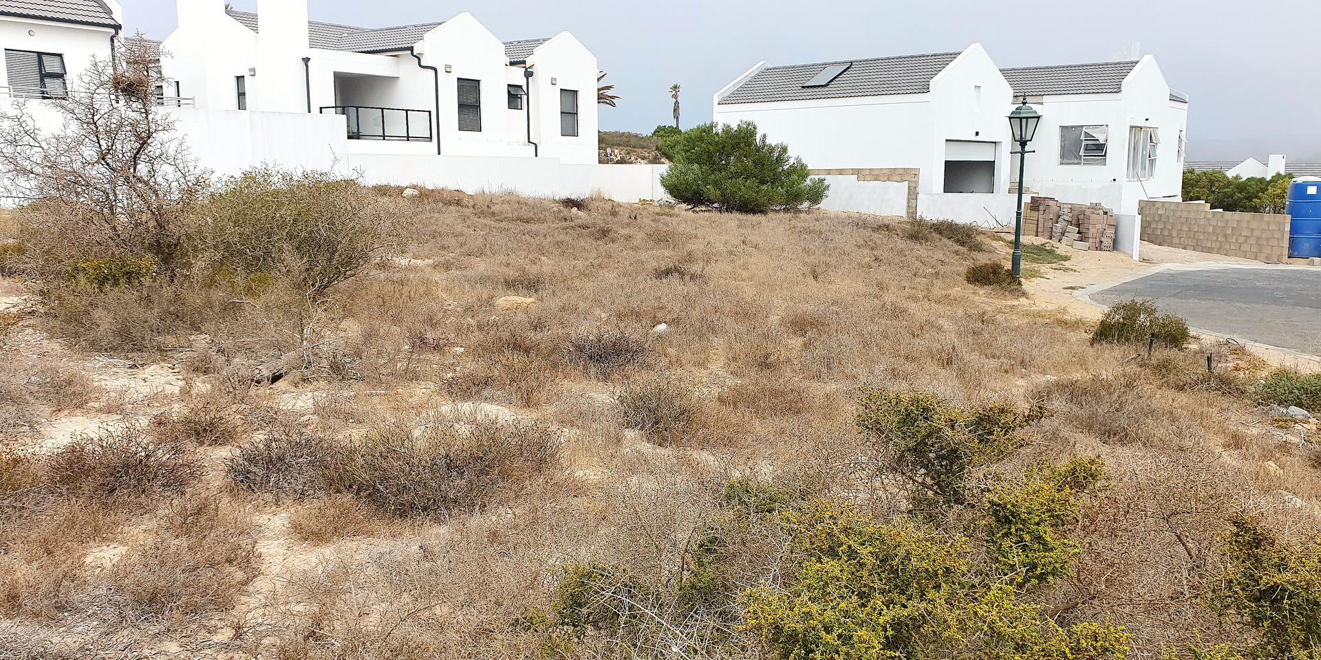Image 4 of 6