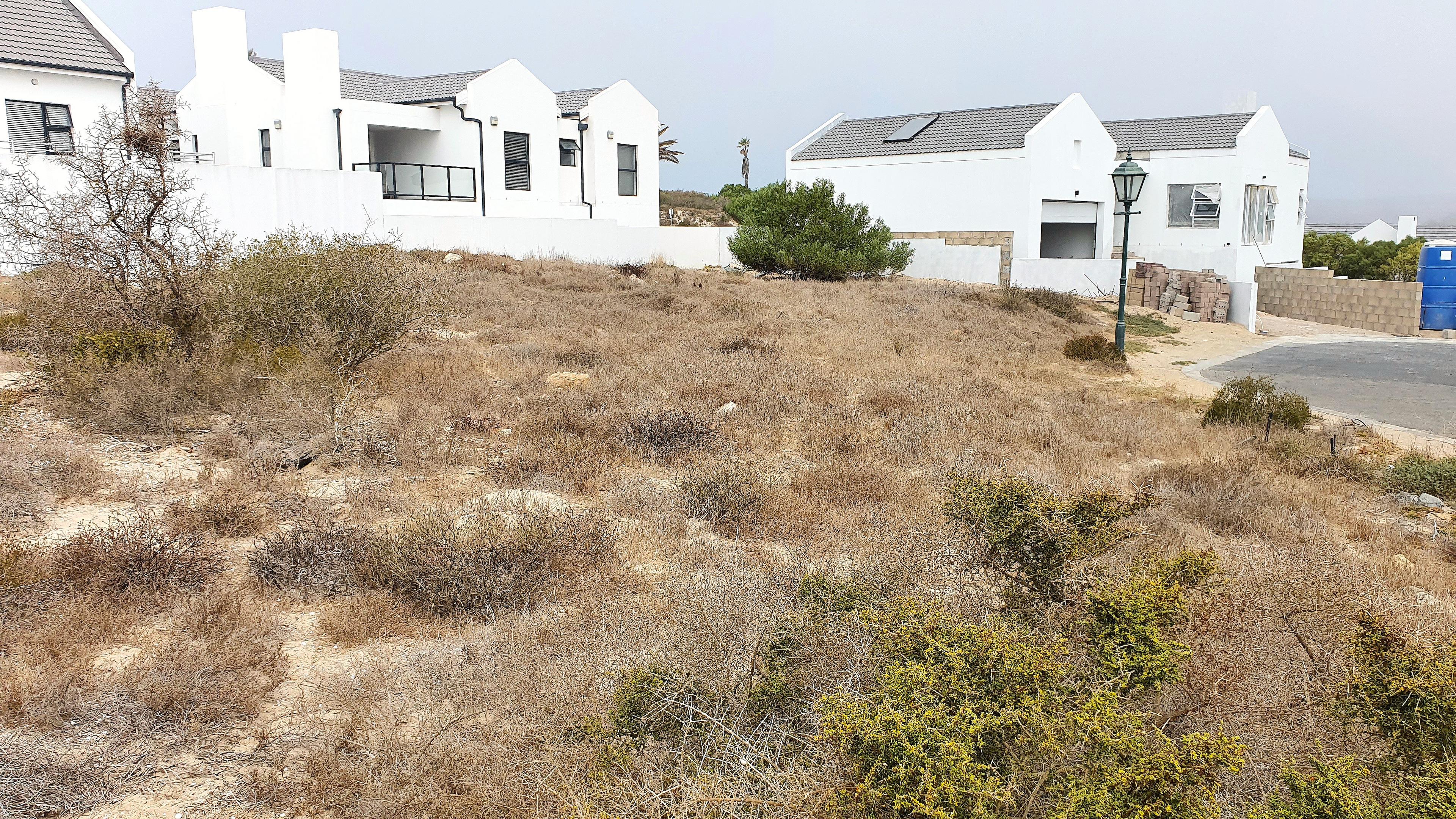 Image 4 of 6