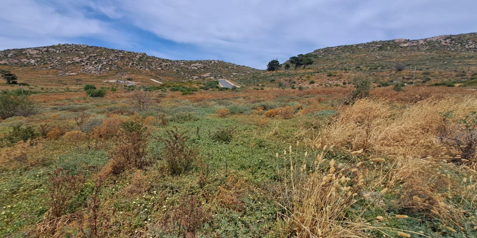 Image 2 of 6