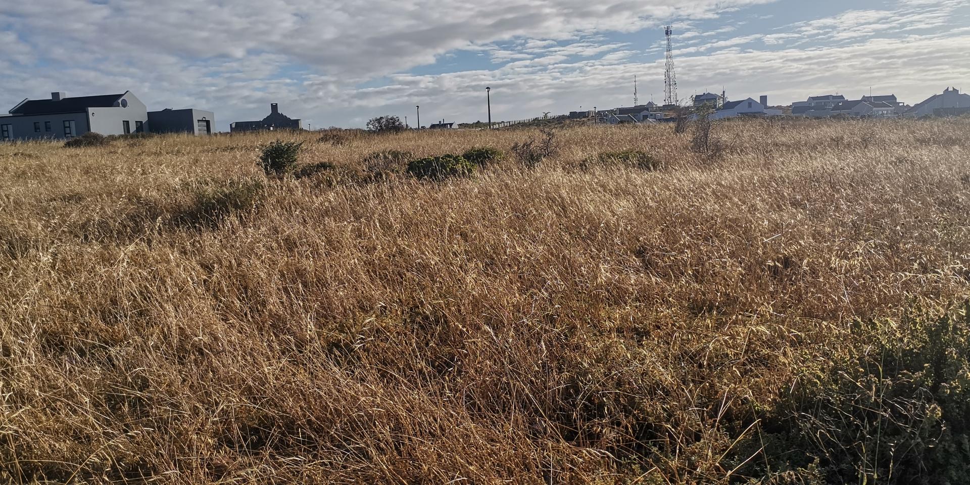 Image 5 of 6