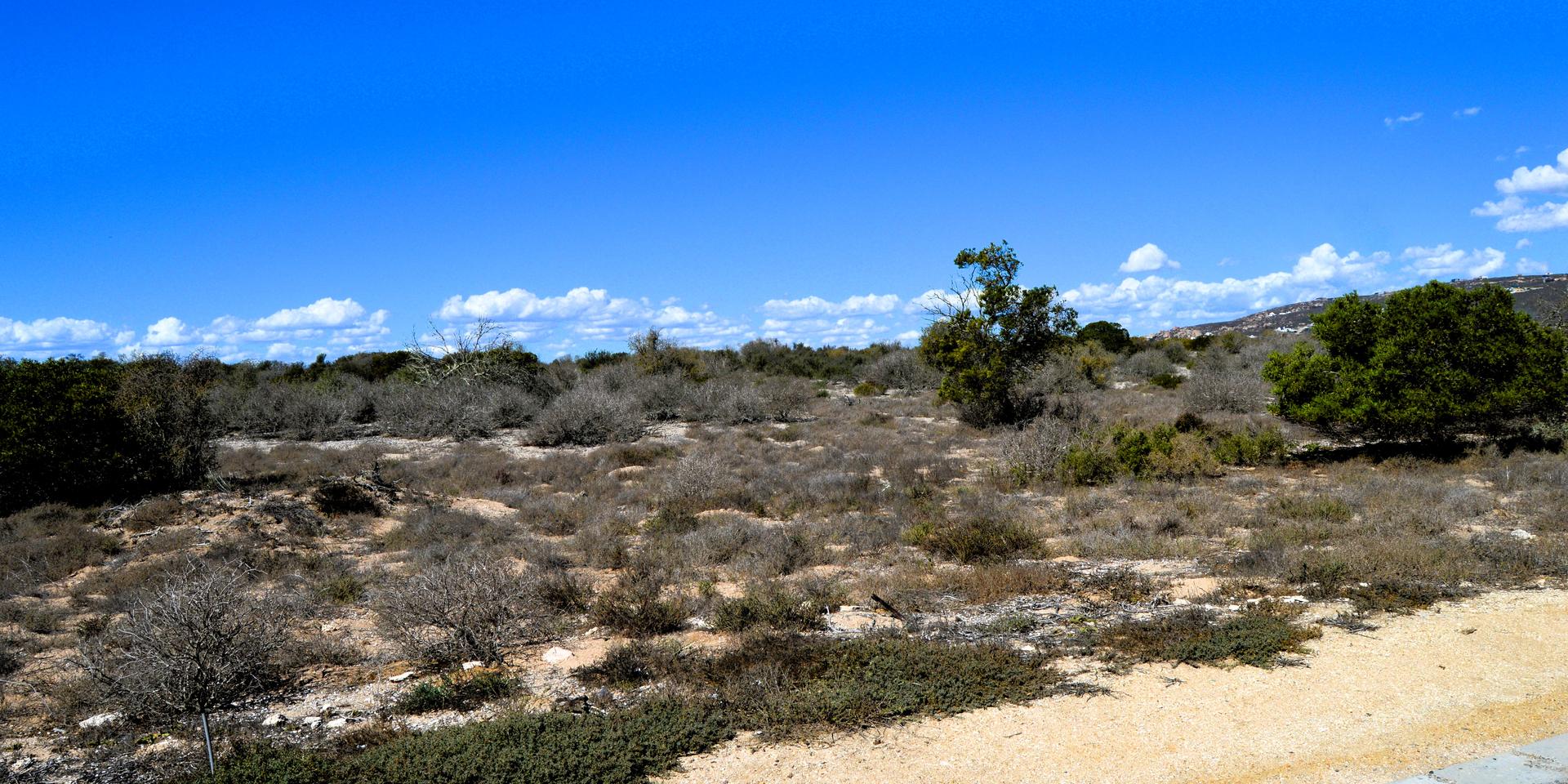Image 4 of 6