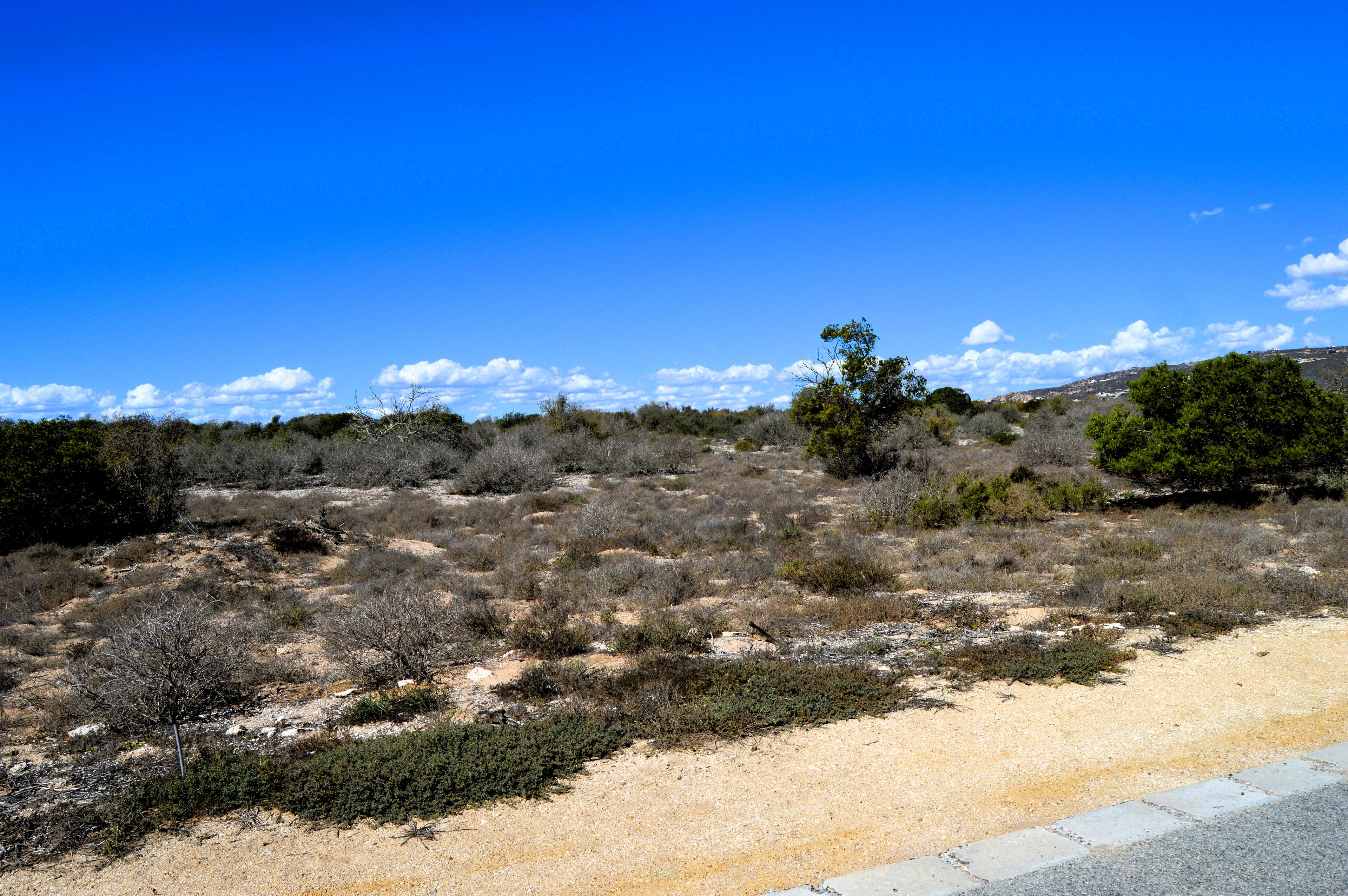 Image 4 of 6