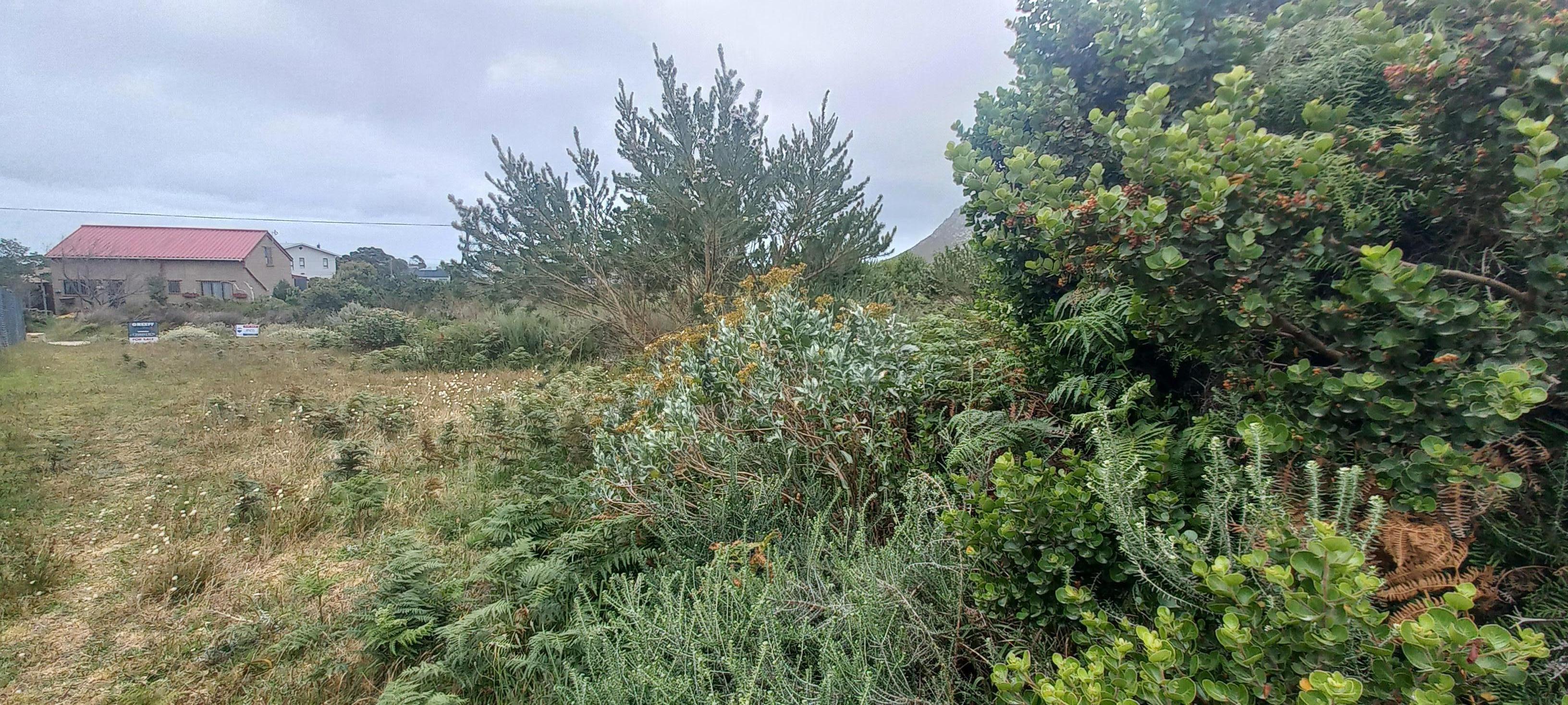 Image 5 of 6