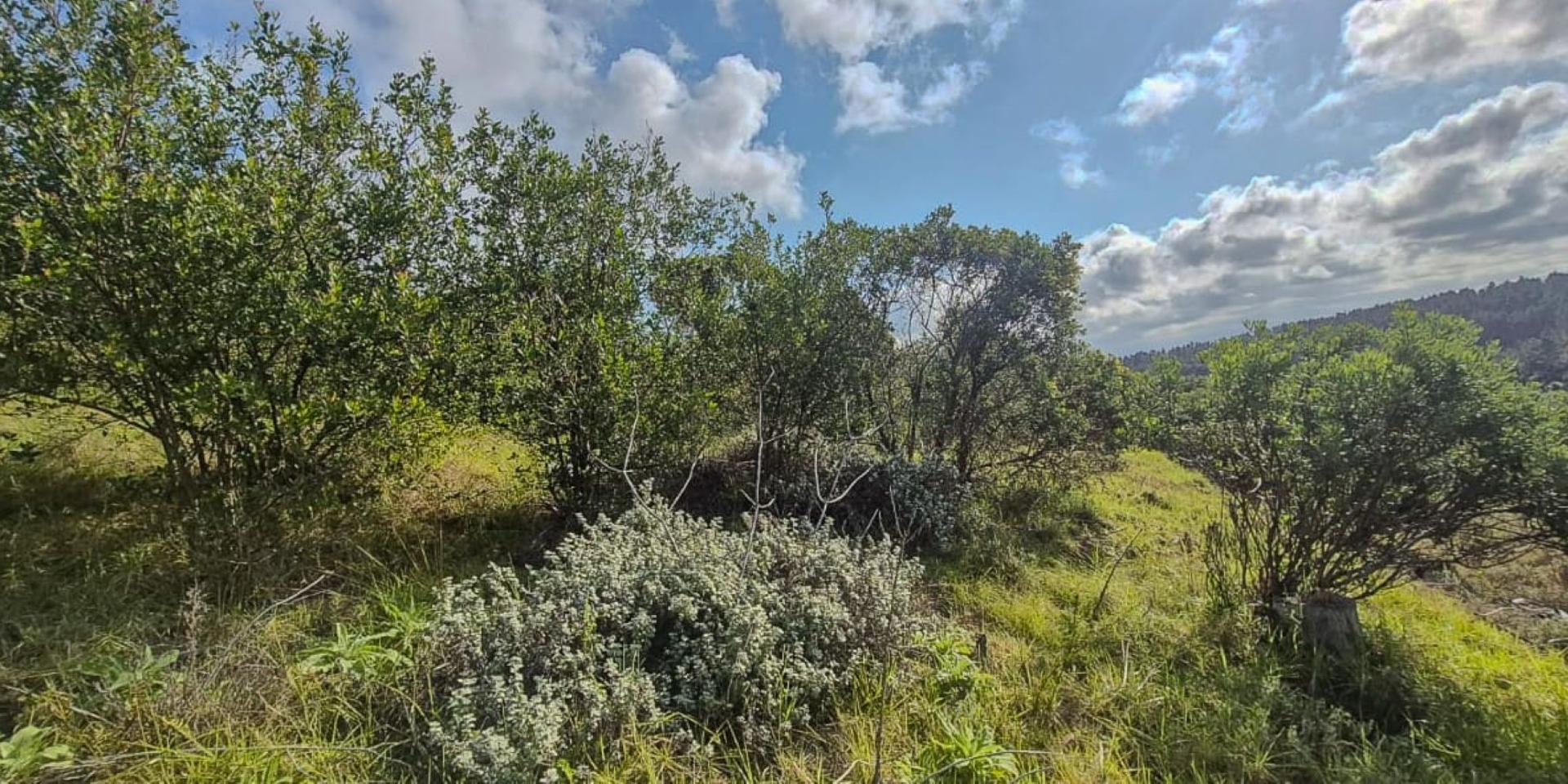 Image 2 of 6