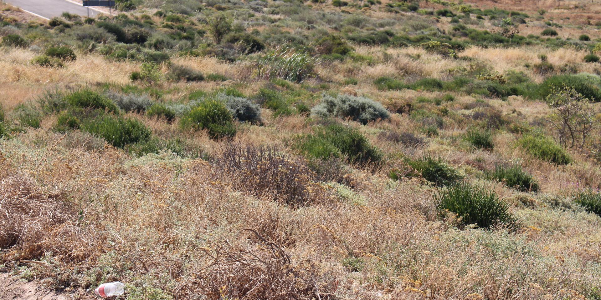 Image 5 of 6