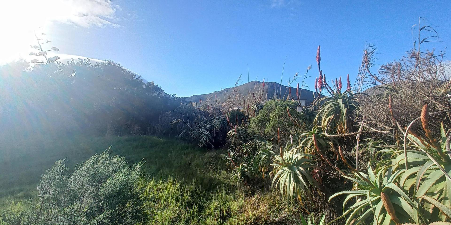 Image 5 of 6