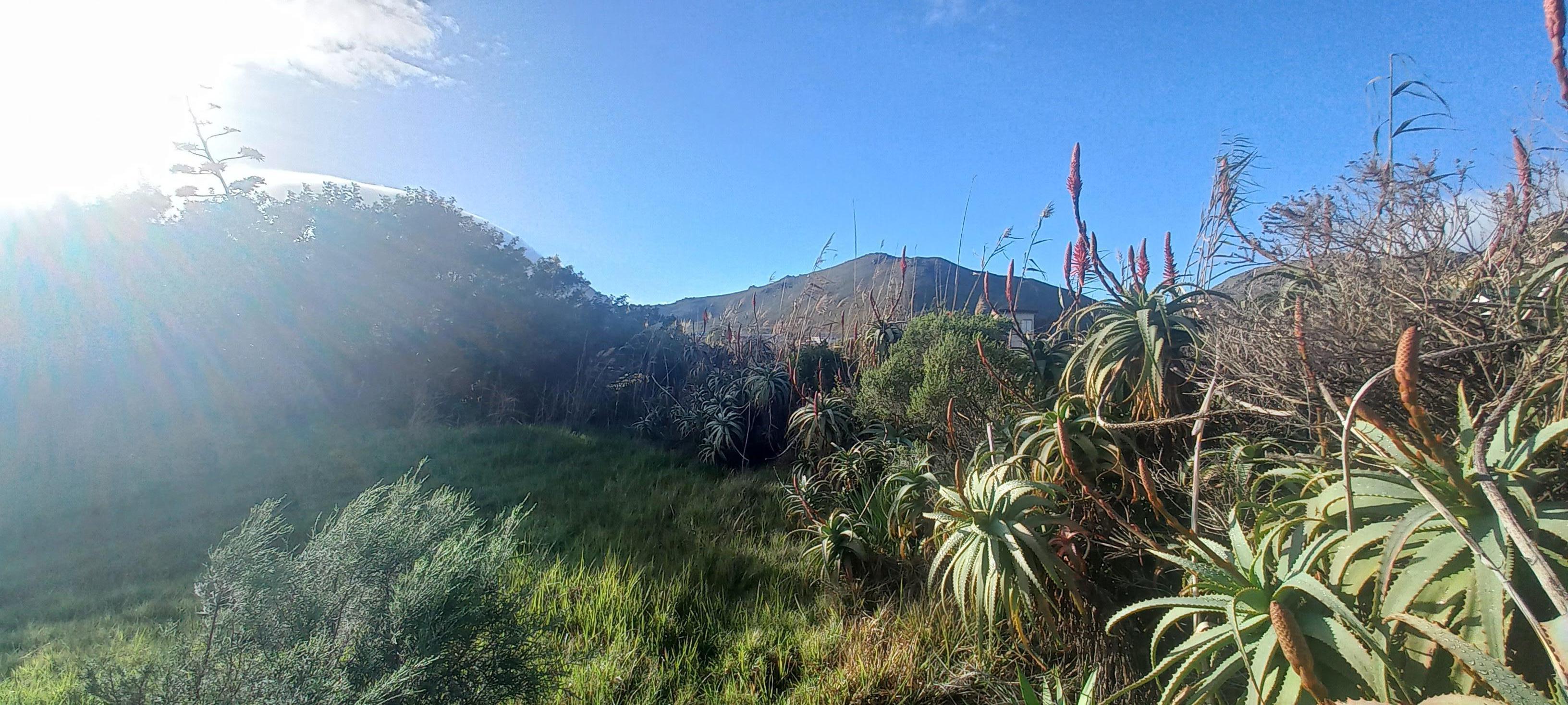 Image 5 of 6