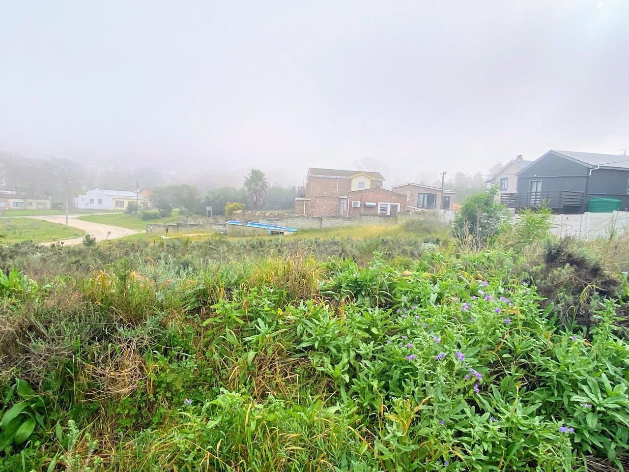 Image 5 of 6
