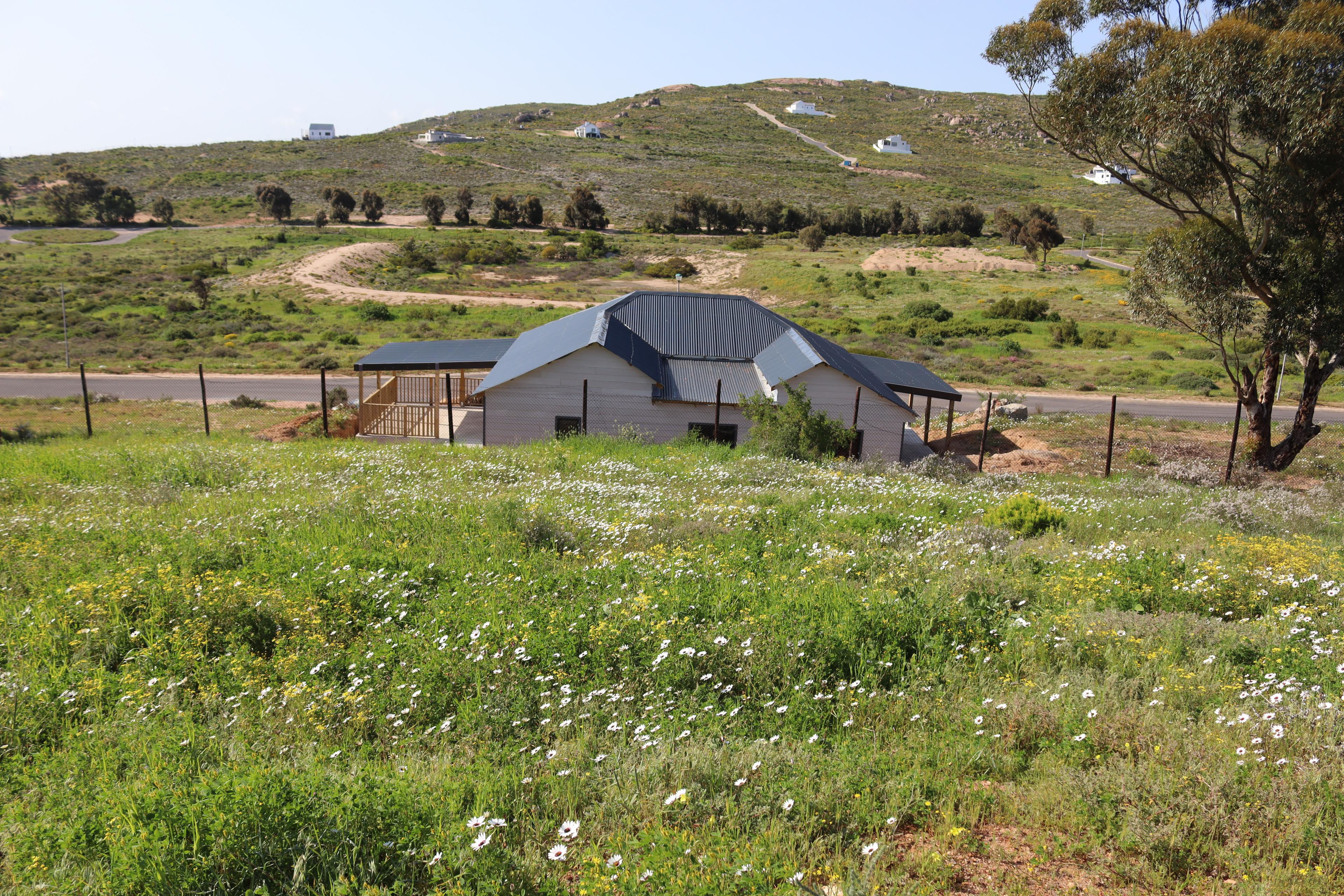 Image 12