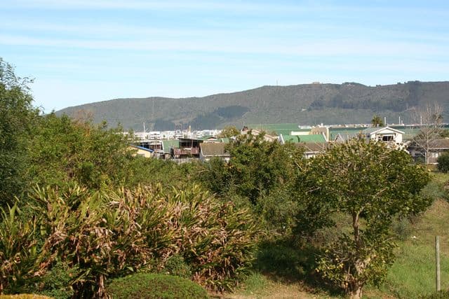 Image 7