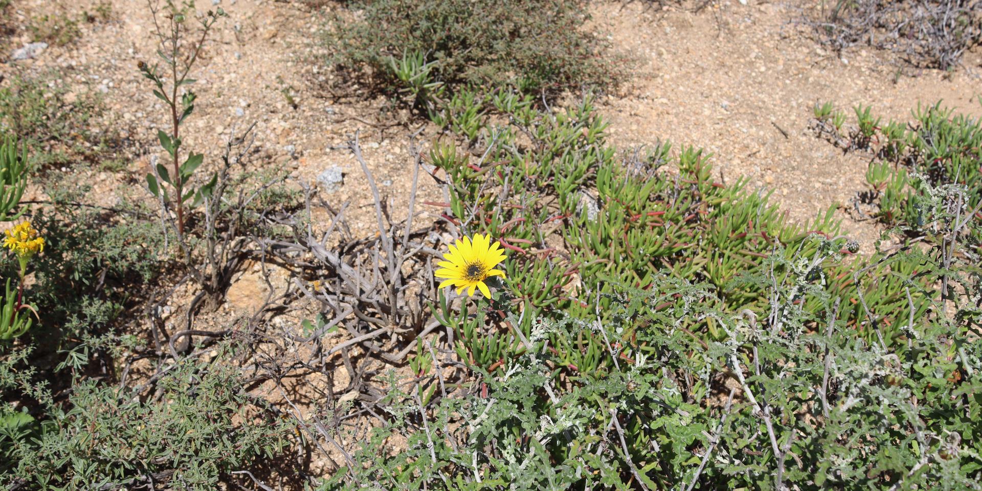 Image 5 of 6
