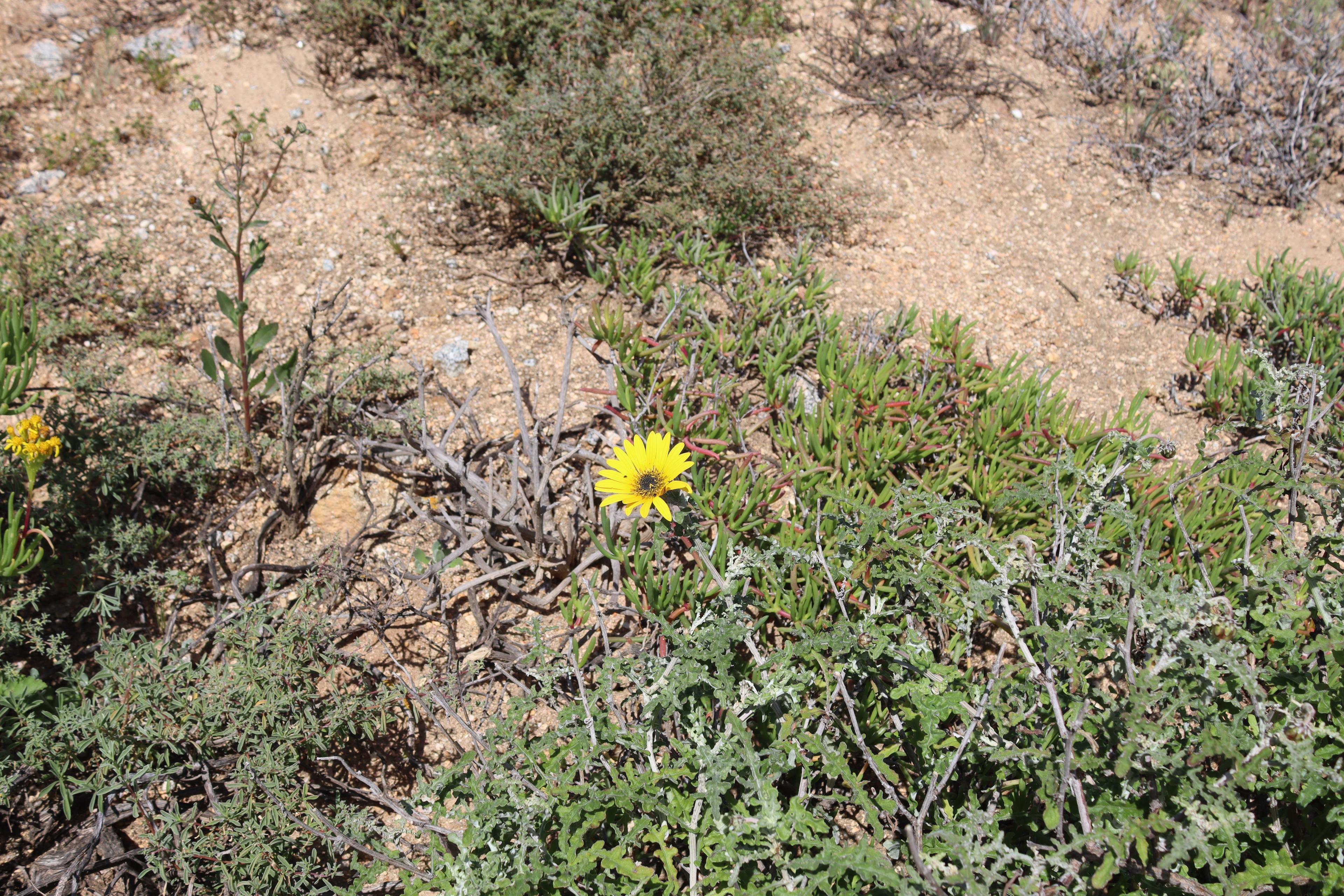 Image 5 of 6