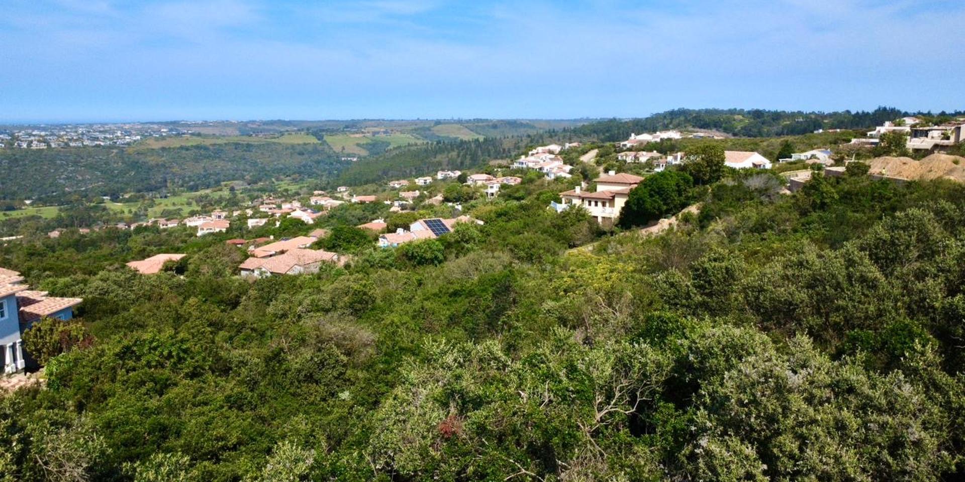 Image 4 of 6