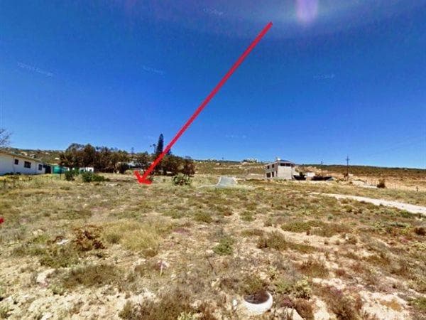 Image 6