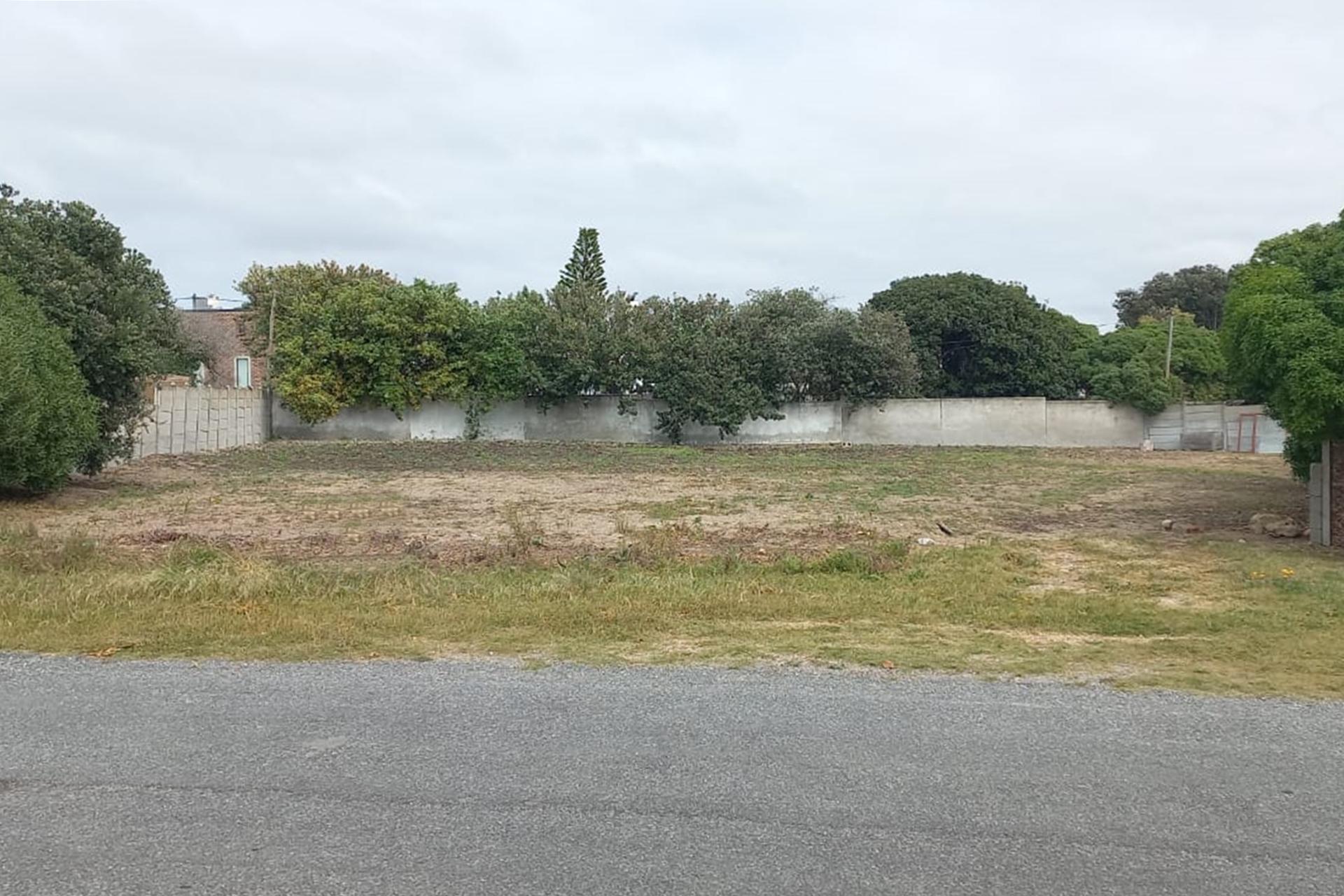 Image 15
