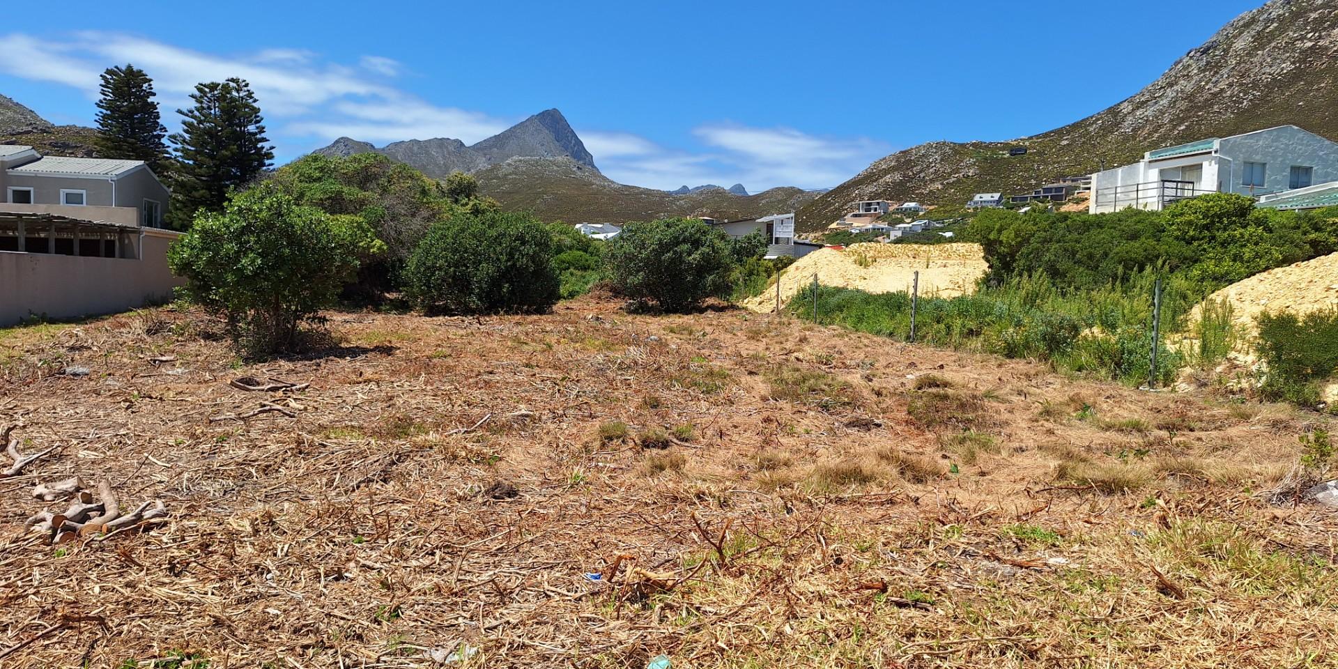 Image 2 of 6