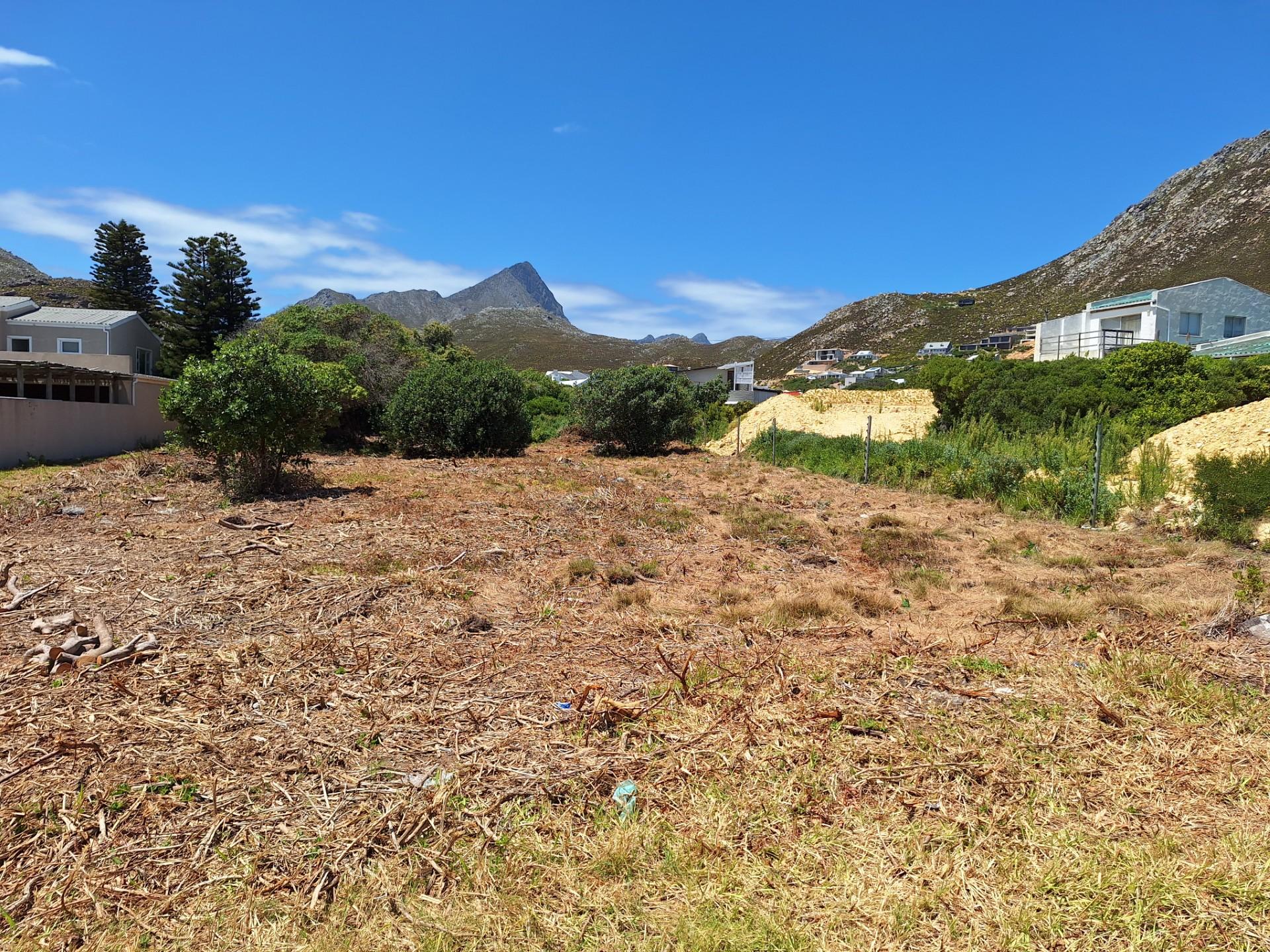 Image 2 of 6