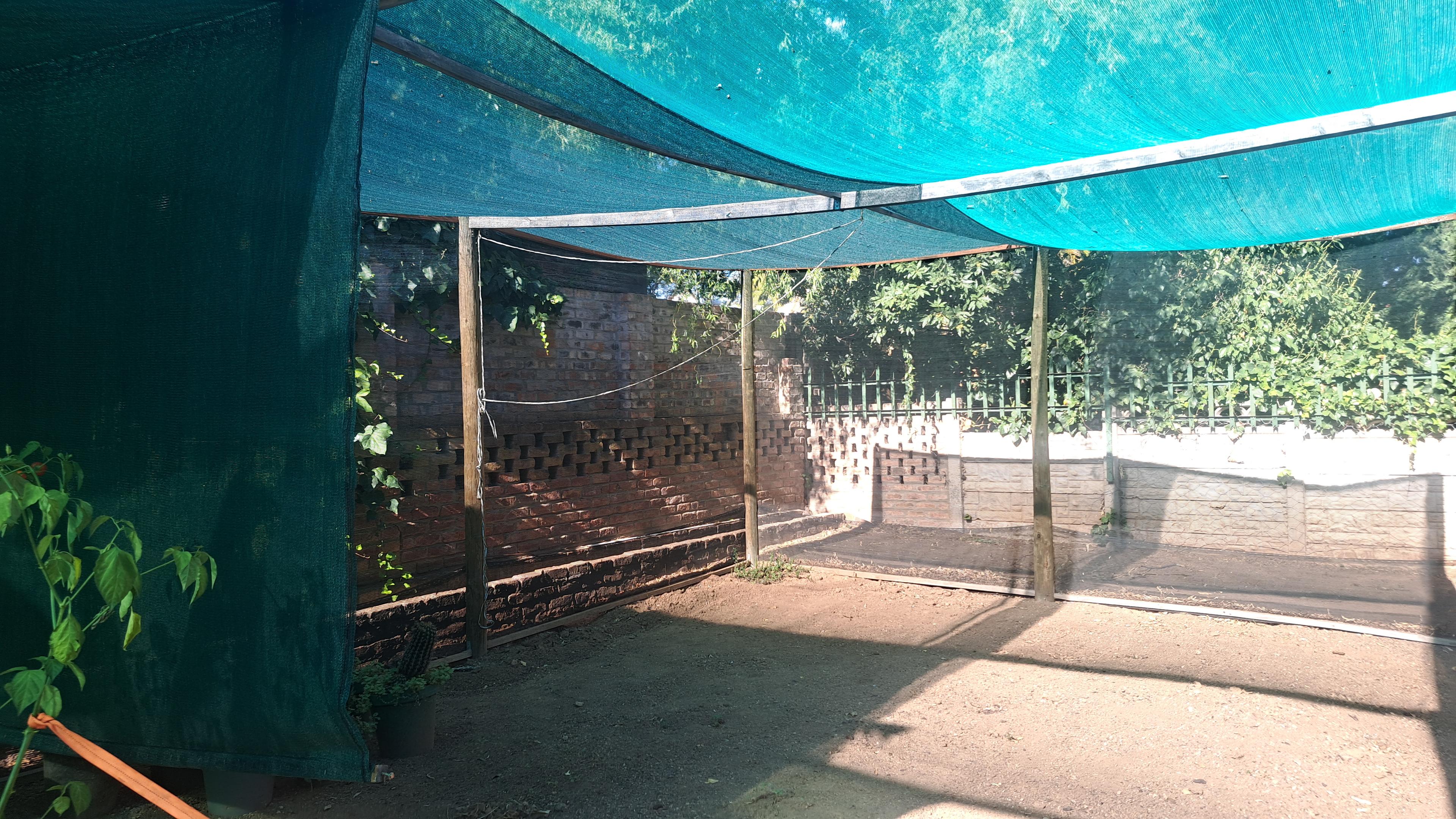 Image 29