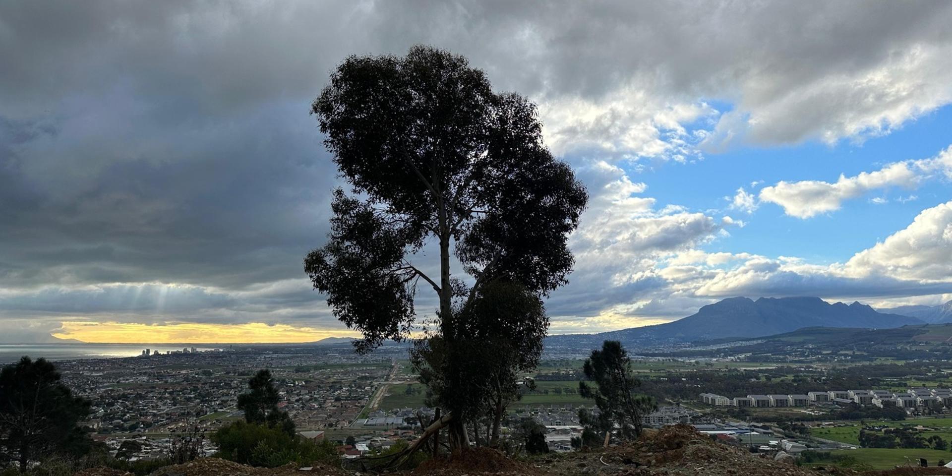 Image 1 of 6