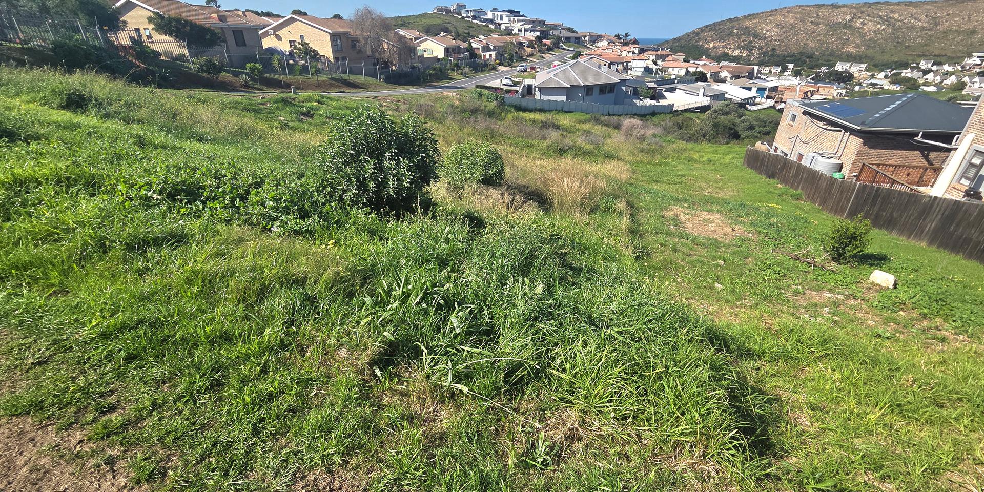 Image 5 of 6