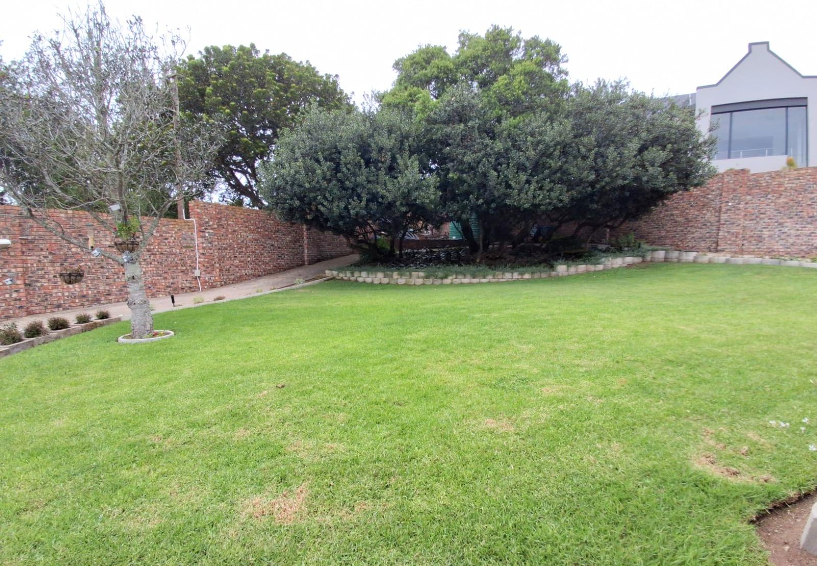Image 33