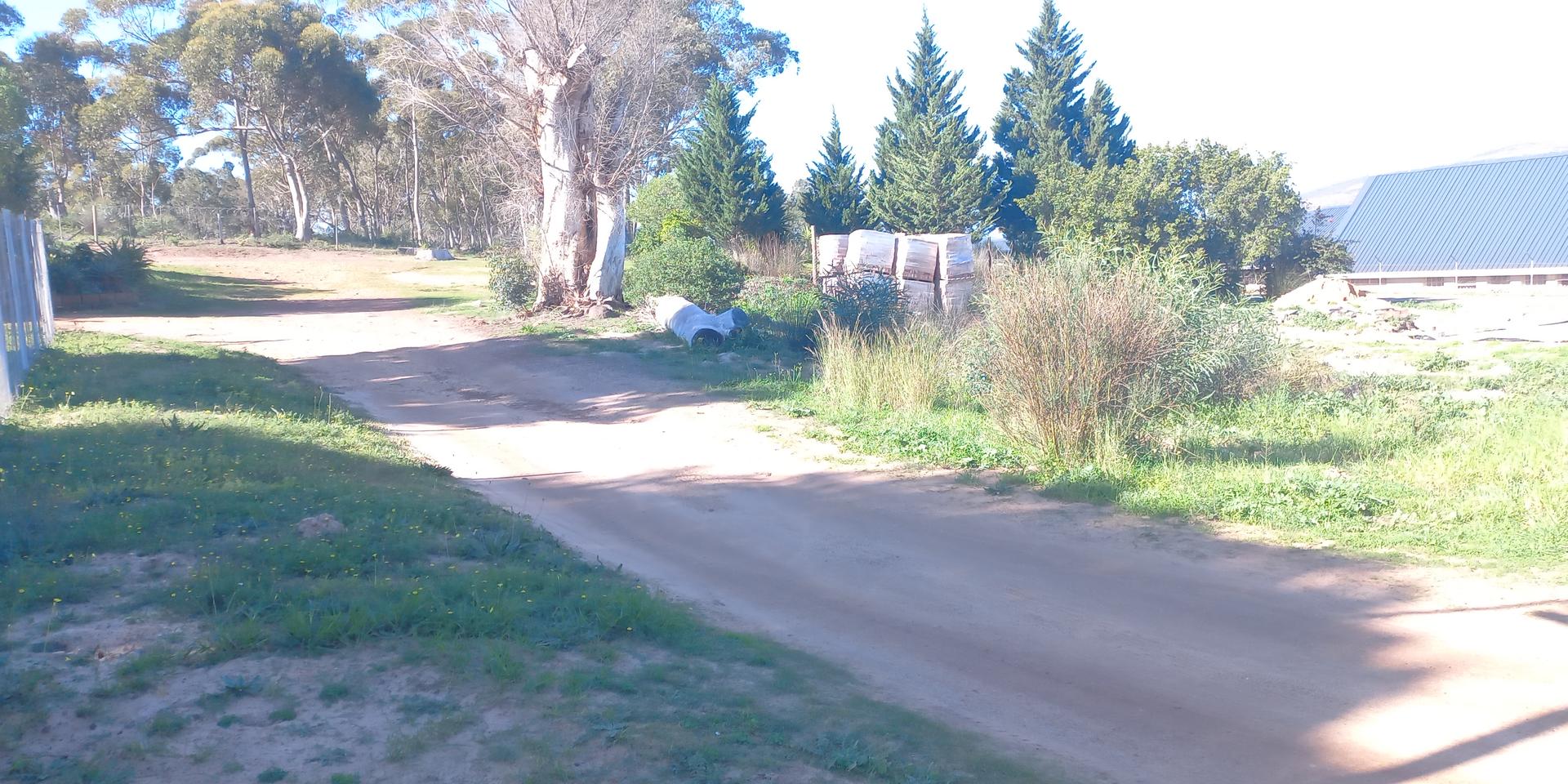 Image 4 of 6