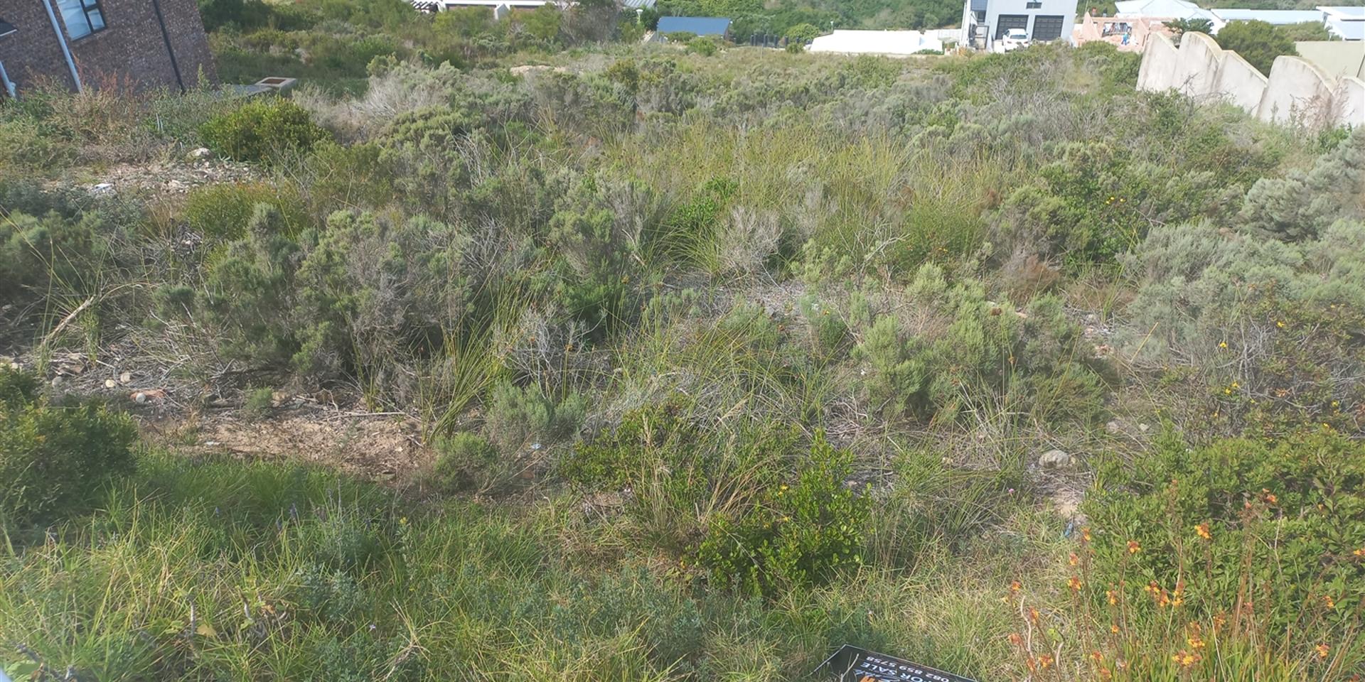 Image 3 of 6