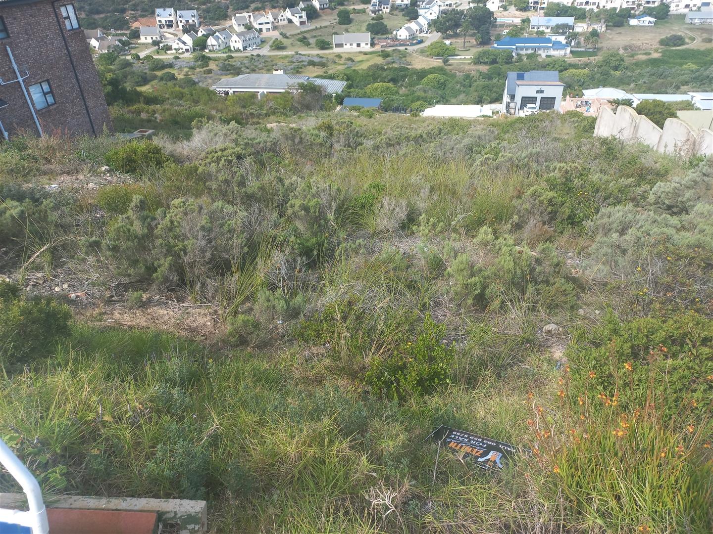 Image 3 of 6