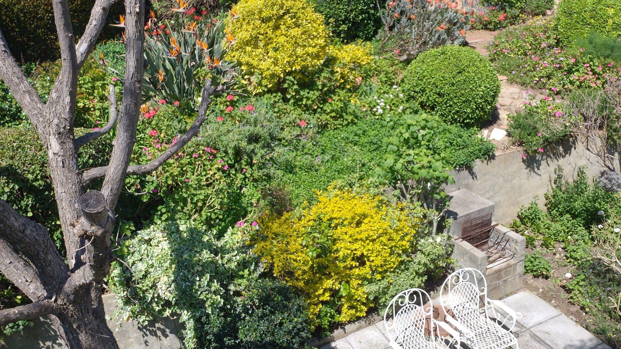 Image 15