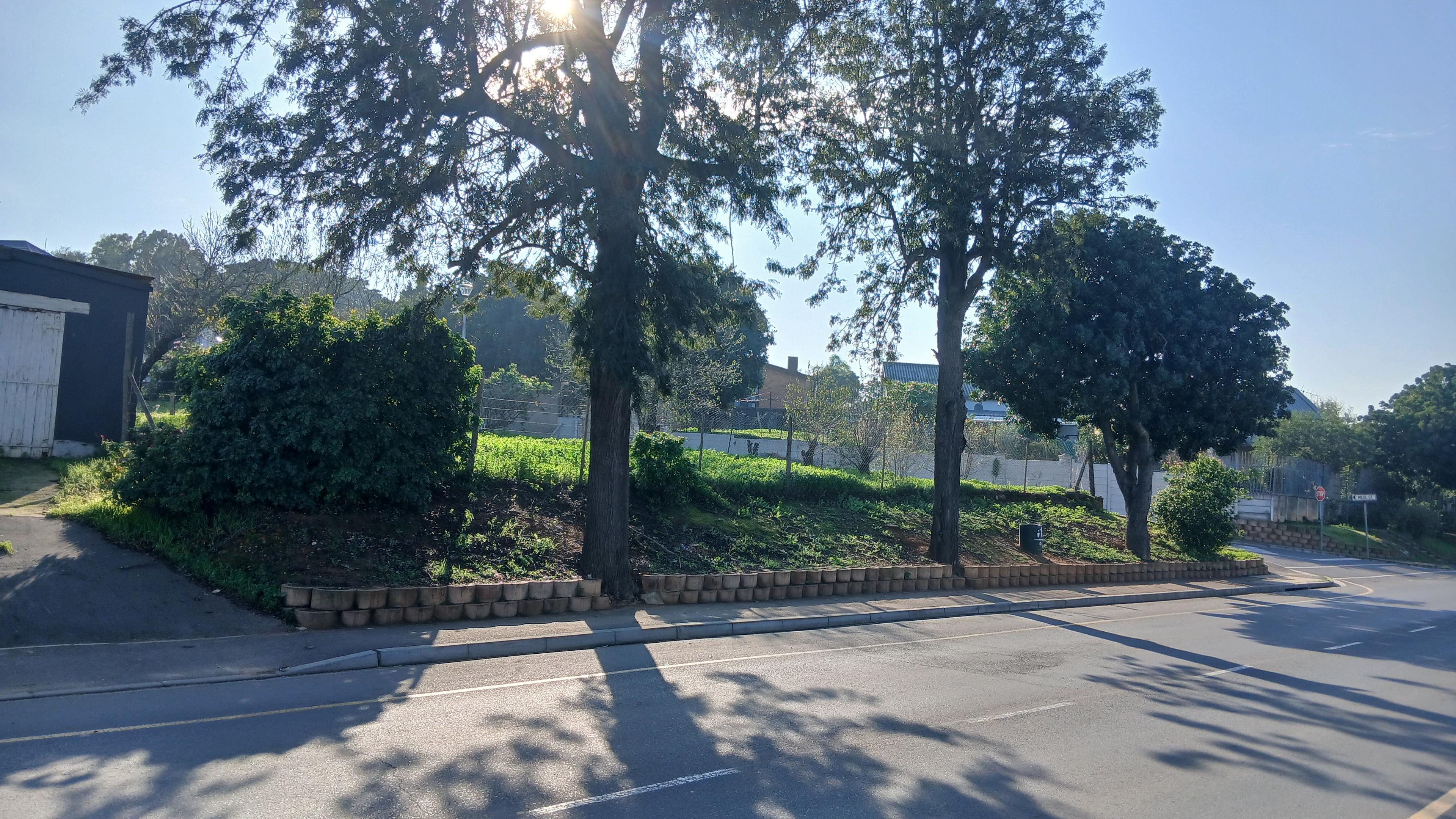 Image 2 of 6