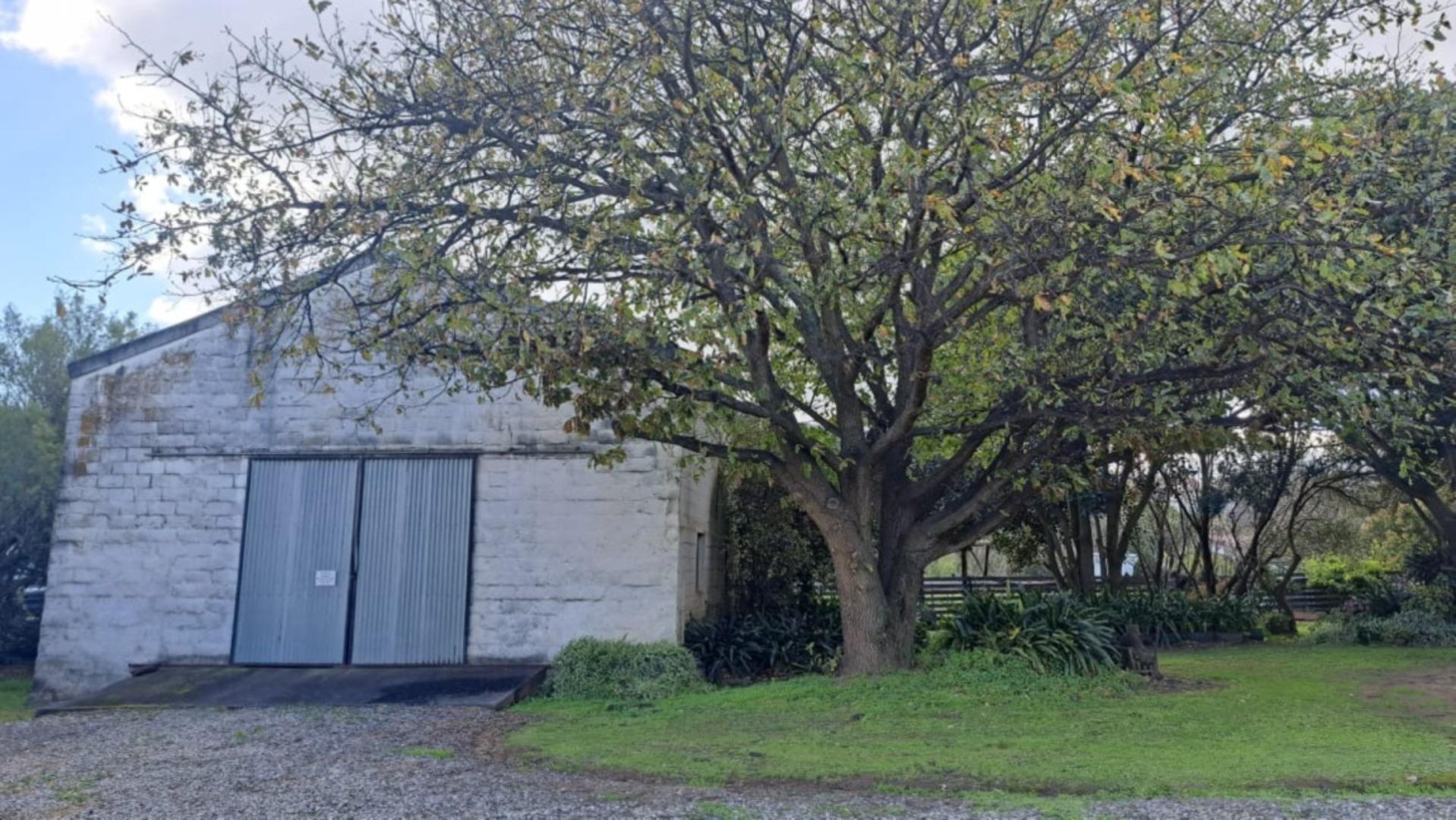 Image 38