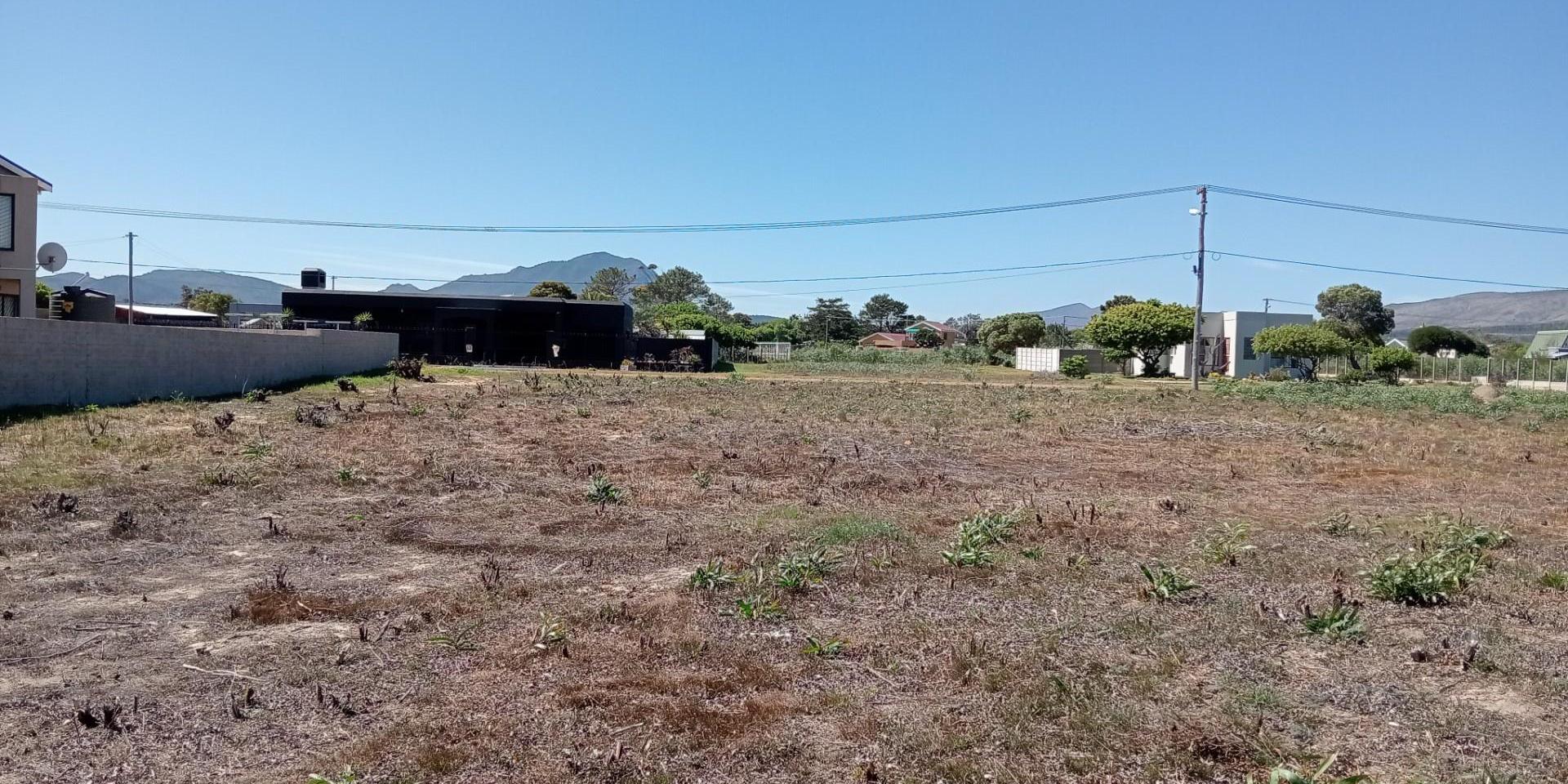 Image 5 of 6