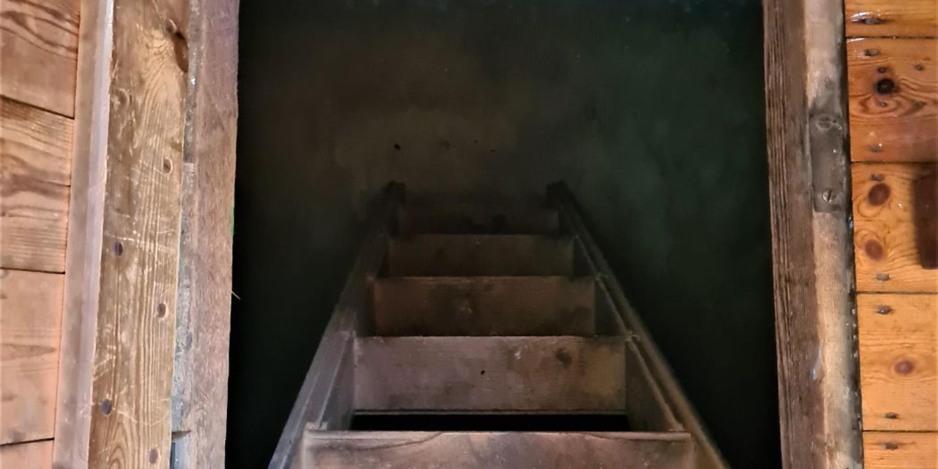 Image 2 of 6